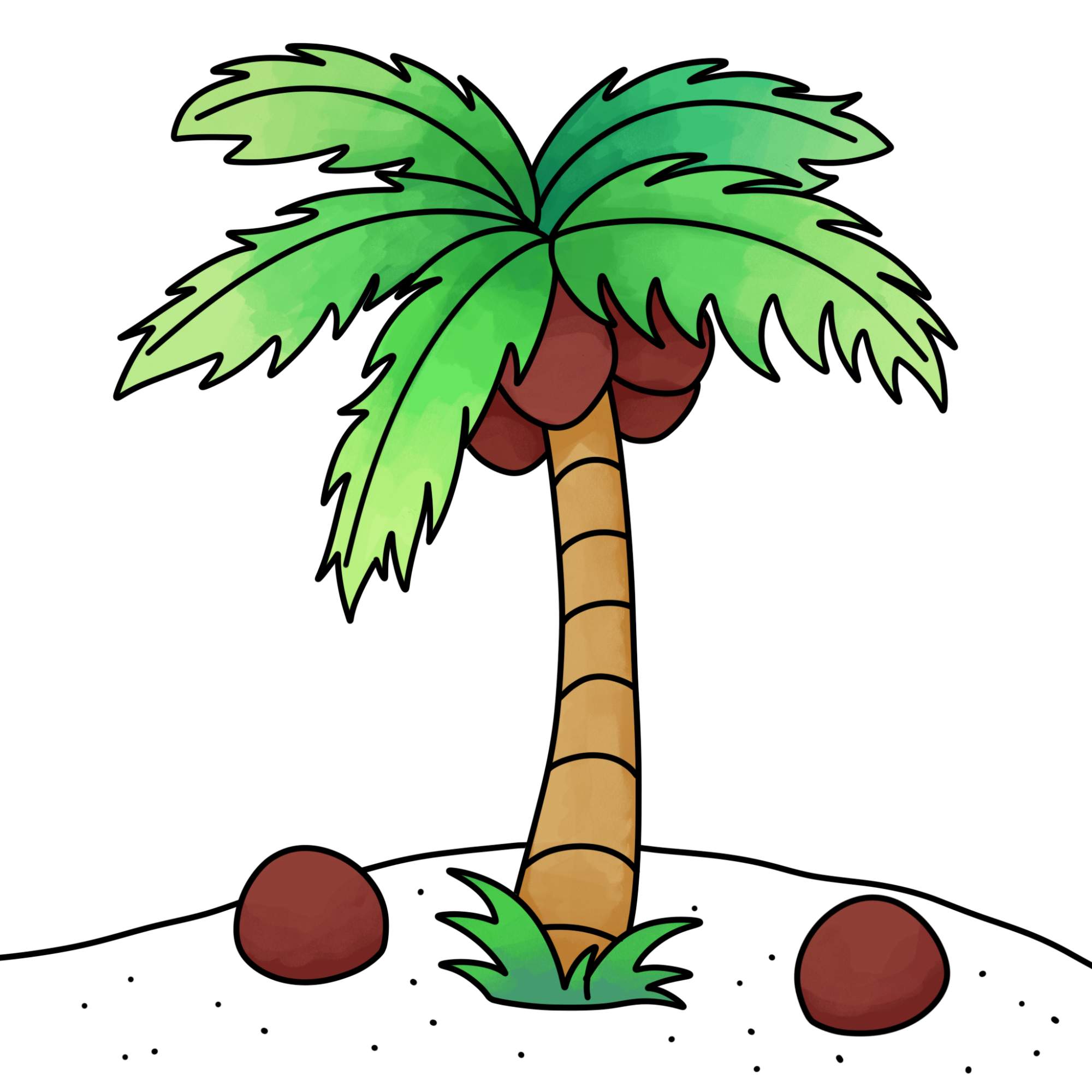 Easy Coconut Tree Drawing - Step-14