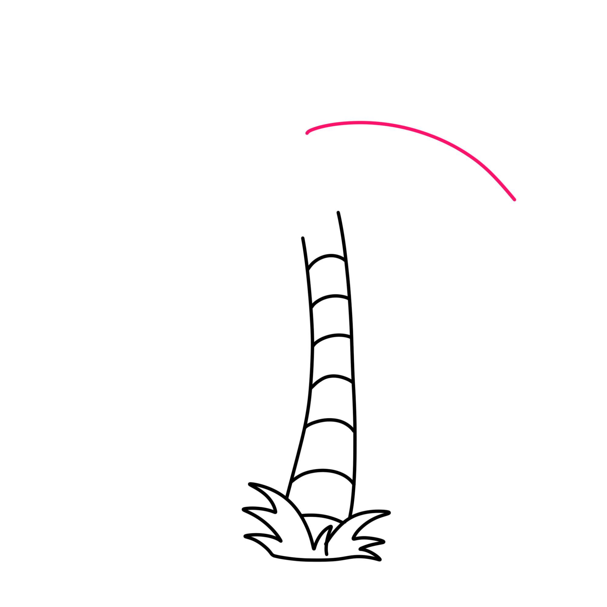 Easy Coconut Tree Drawing - Step-4