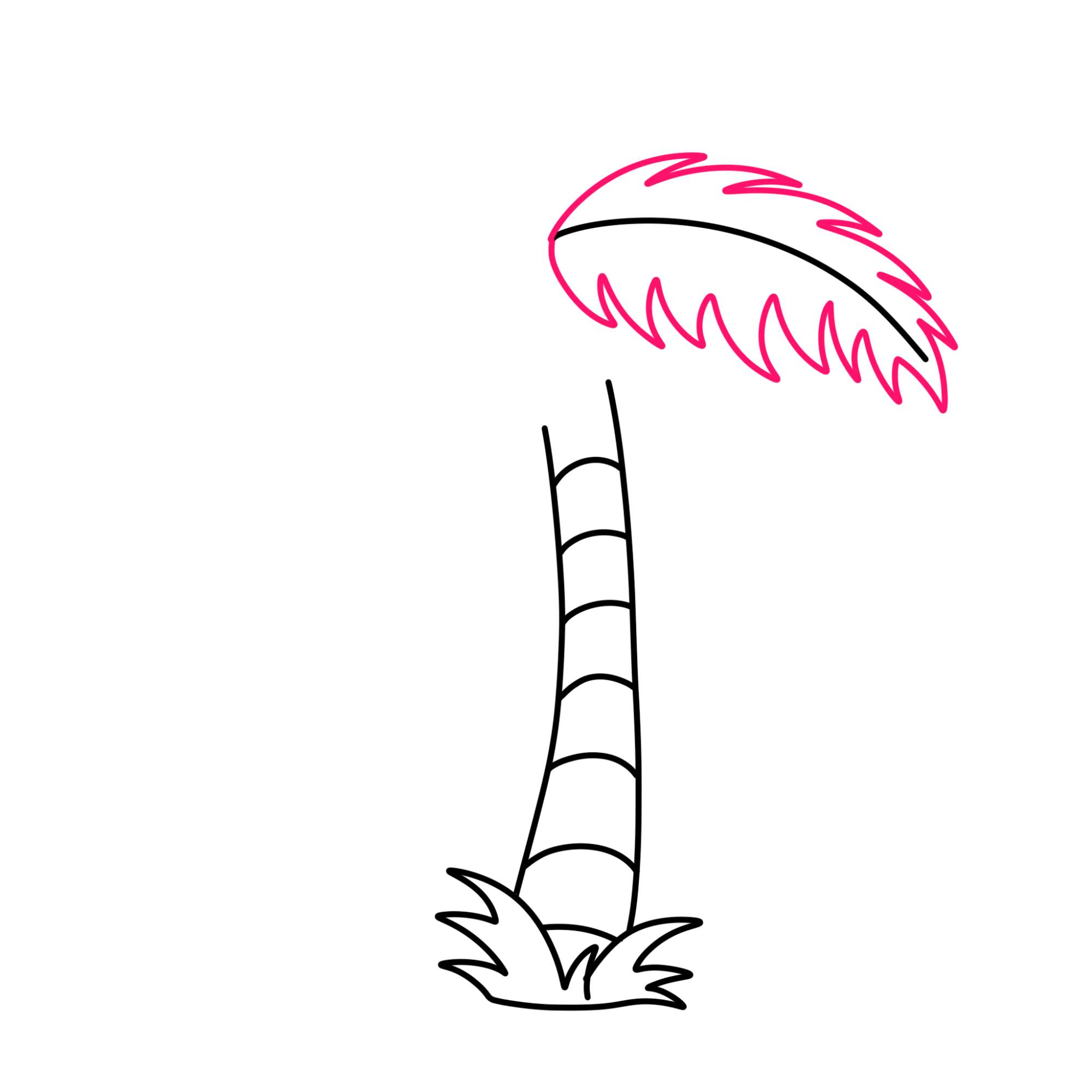 Easy Coconut Tree Drawing - Step-5