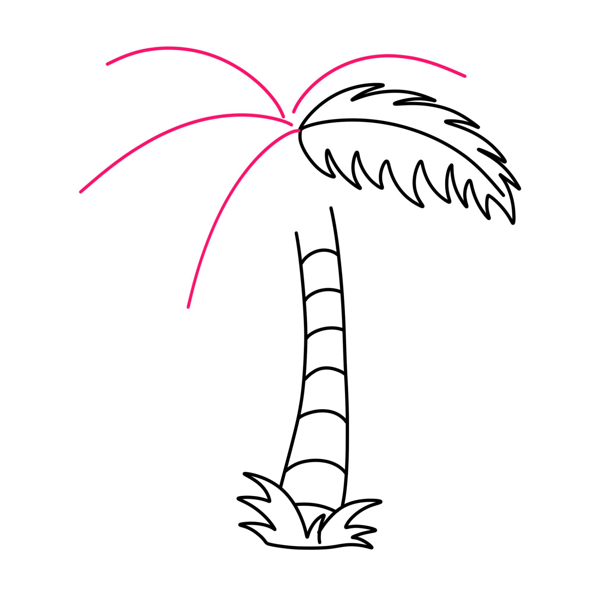 Easy Coconut Tree Drawing - Step-6