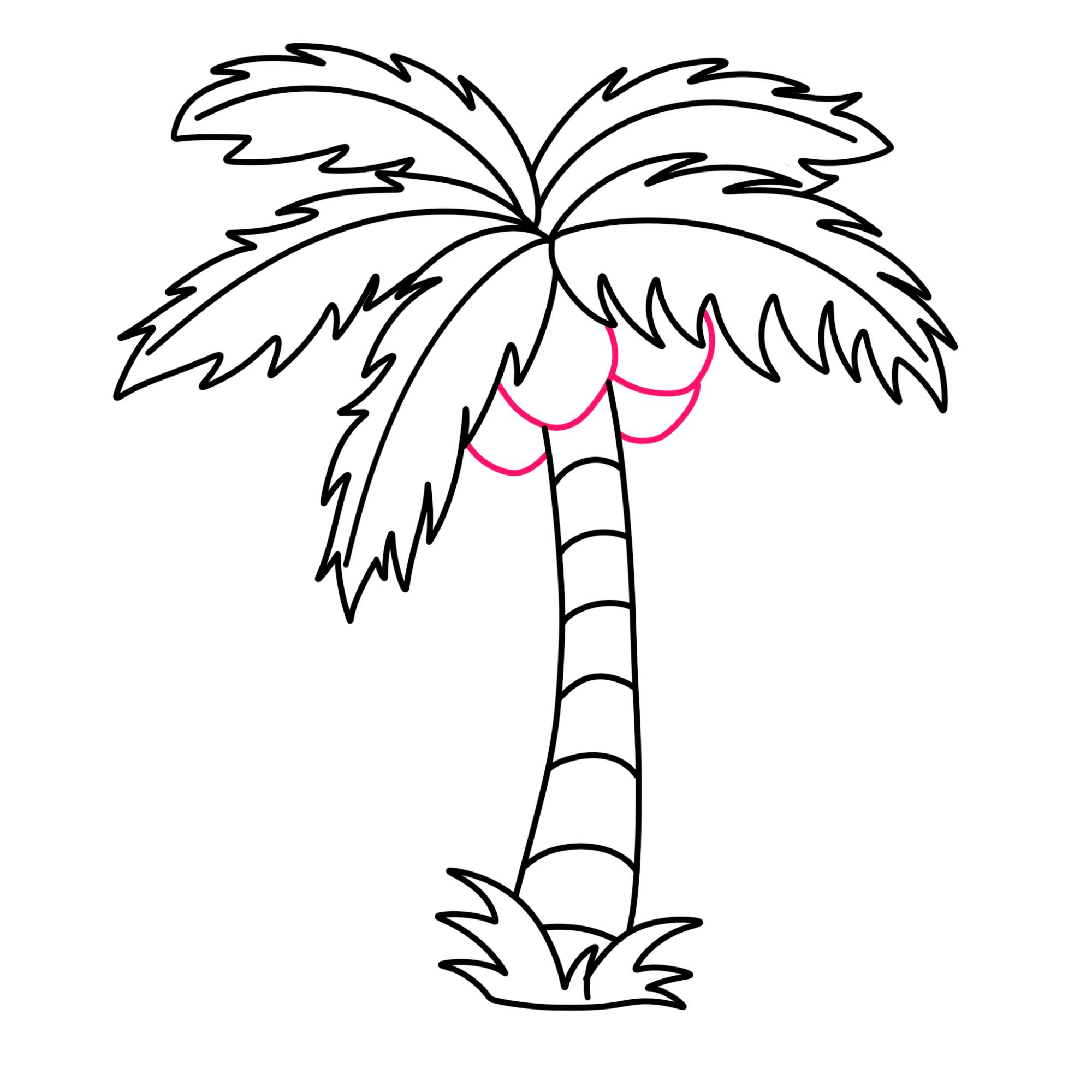 Easy Coconut Tree Drawing - Step-8