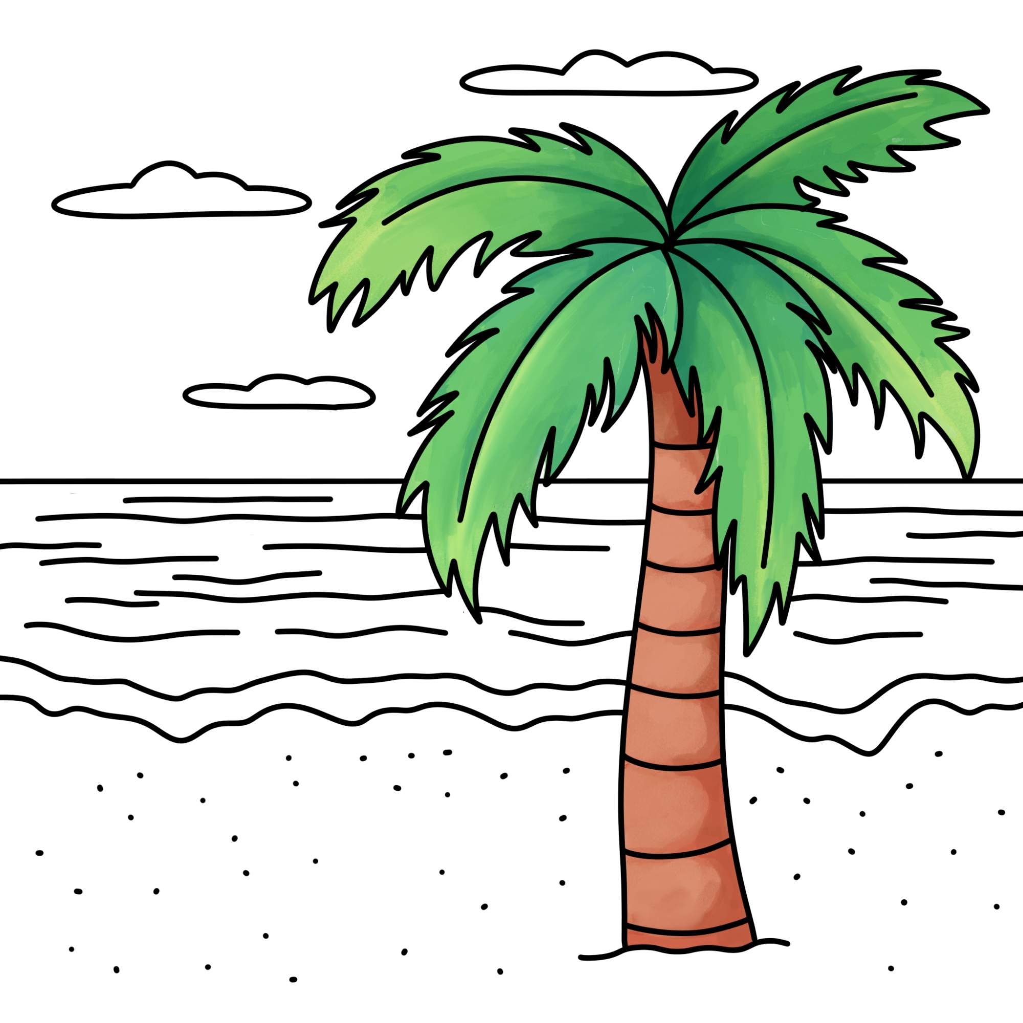 How to Draw a Palm Tree - Step-12