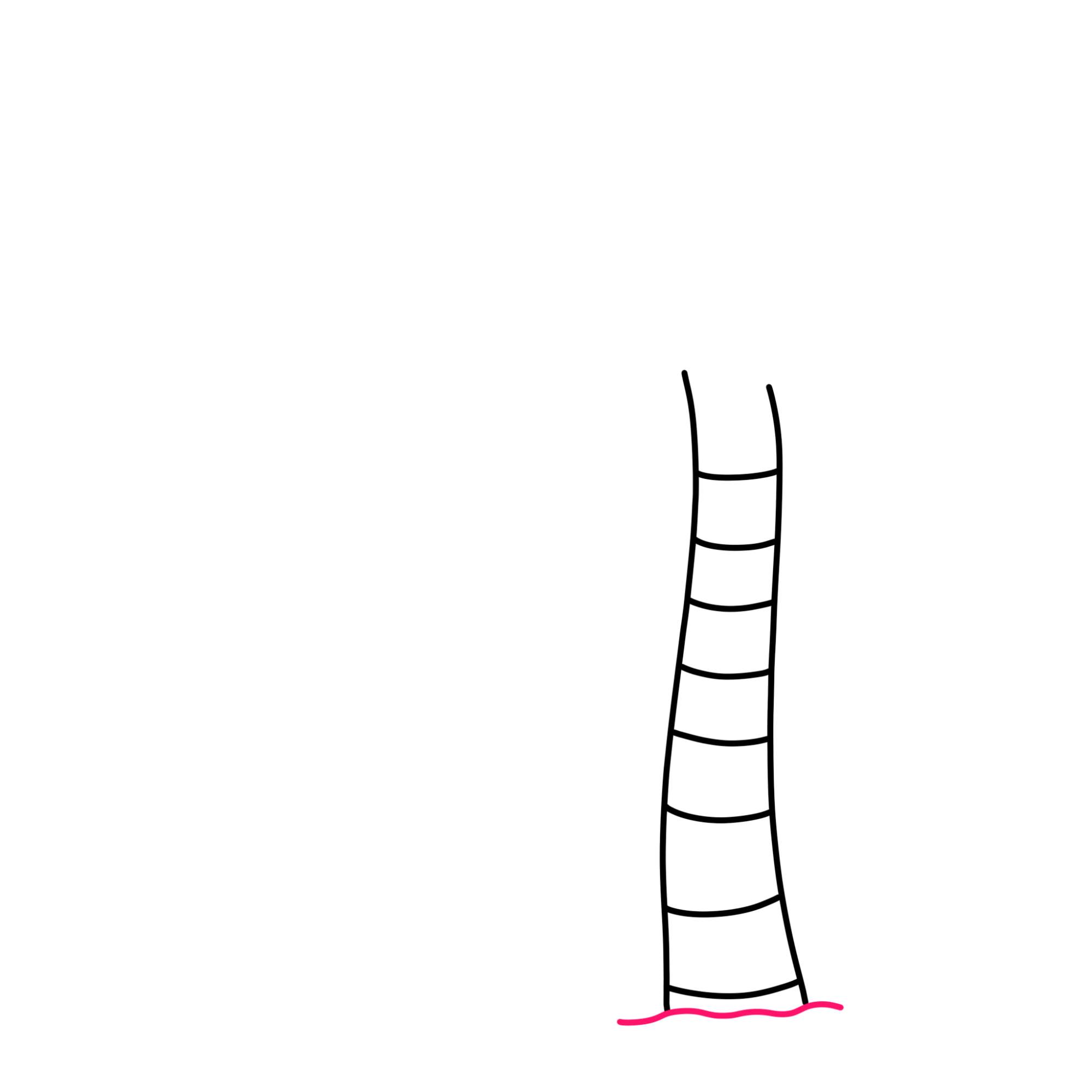 How to Draw a Palm Tree - Step-3