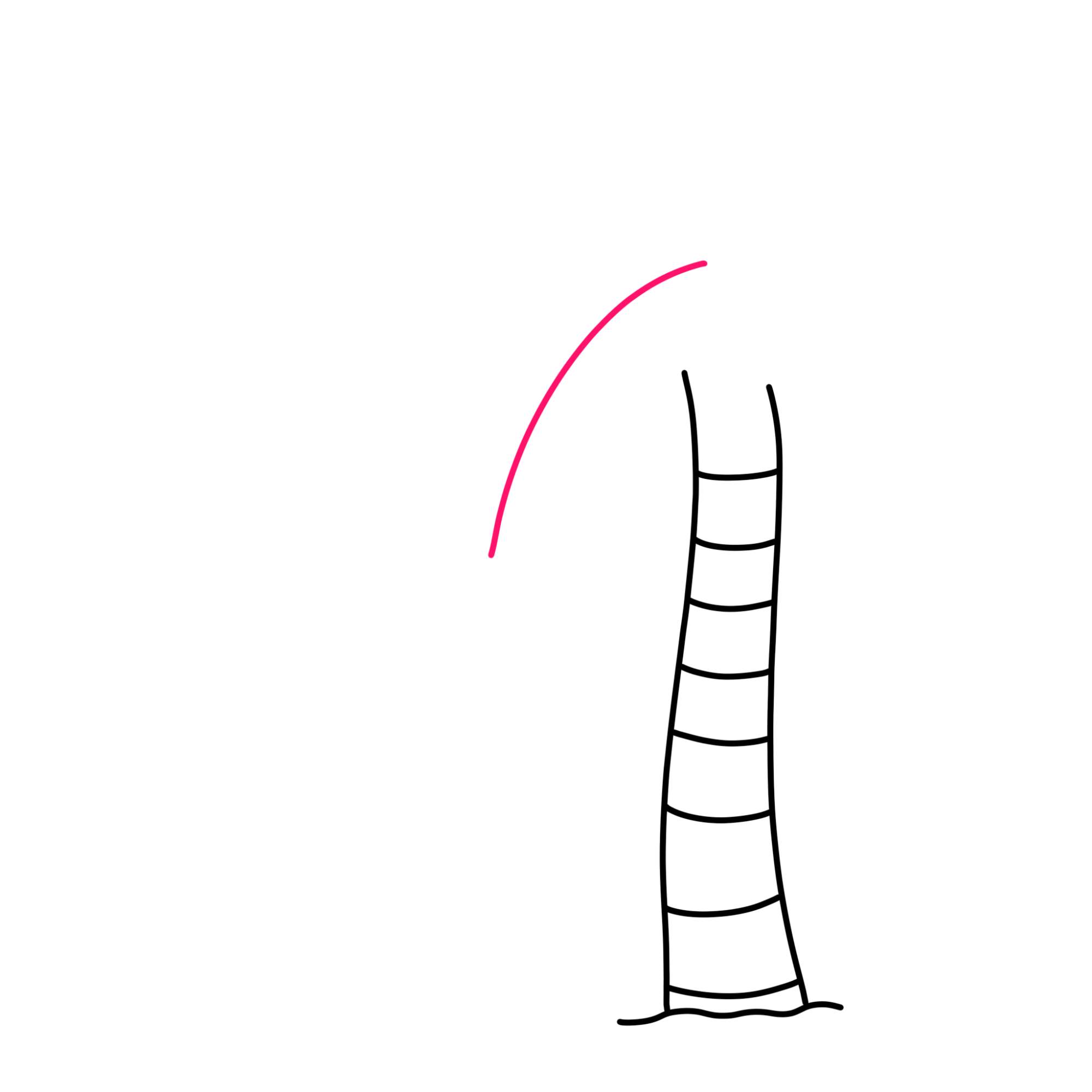 How to Draw a Palm Tree - Step-4