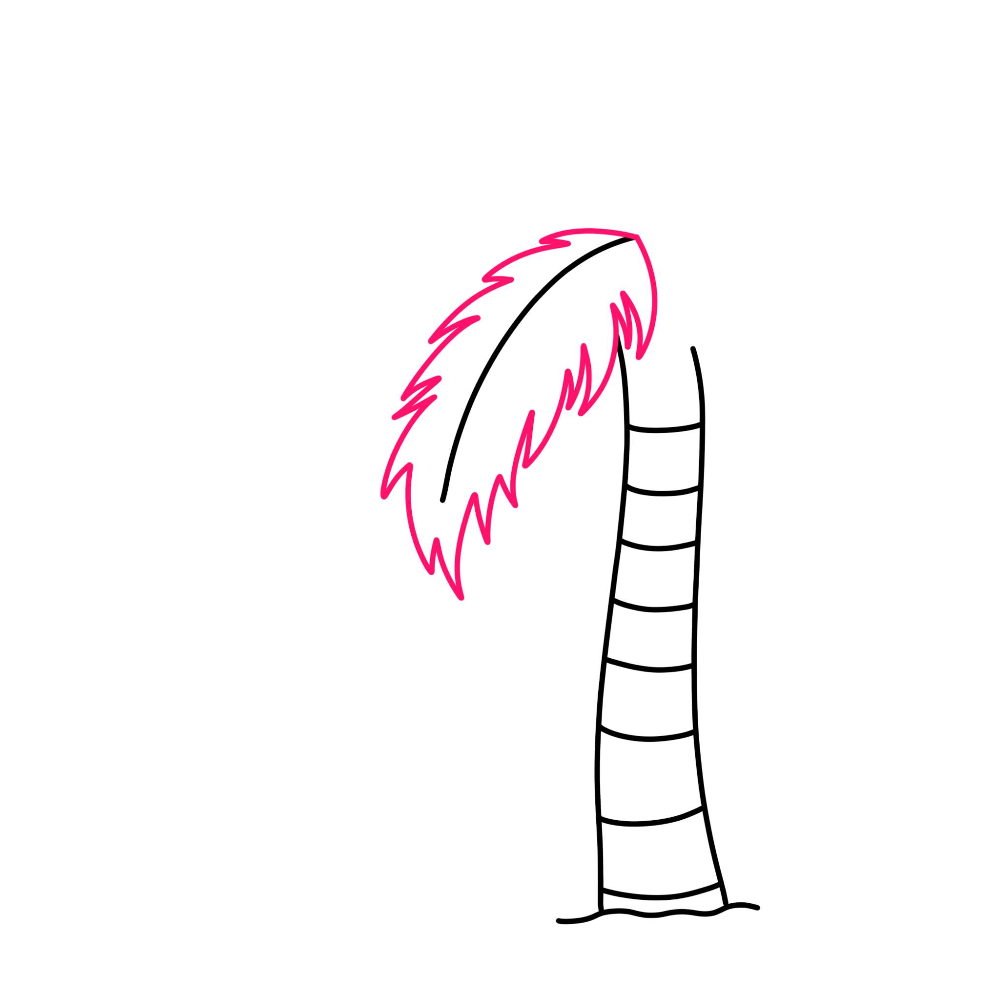 How to Draw a Palm Tree - Step-5