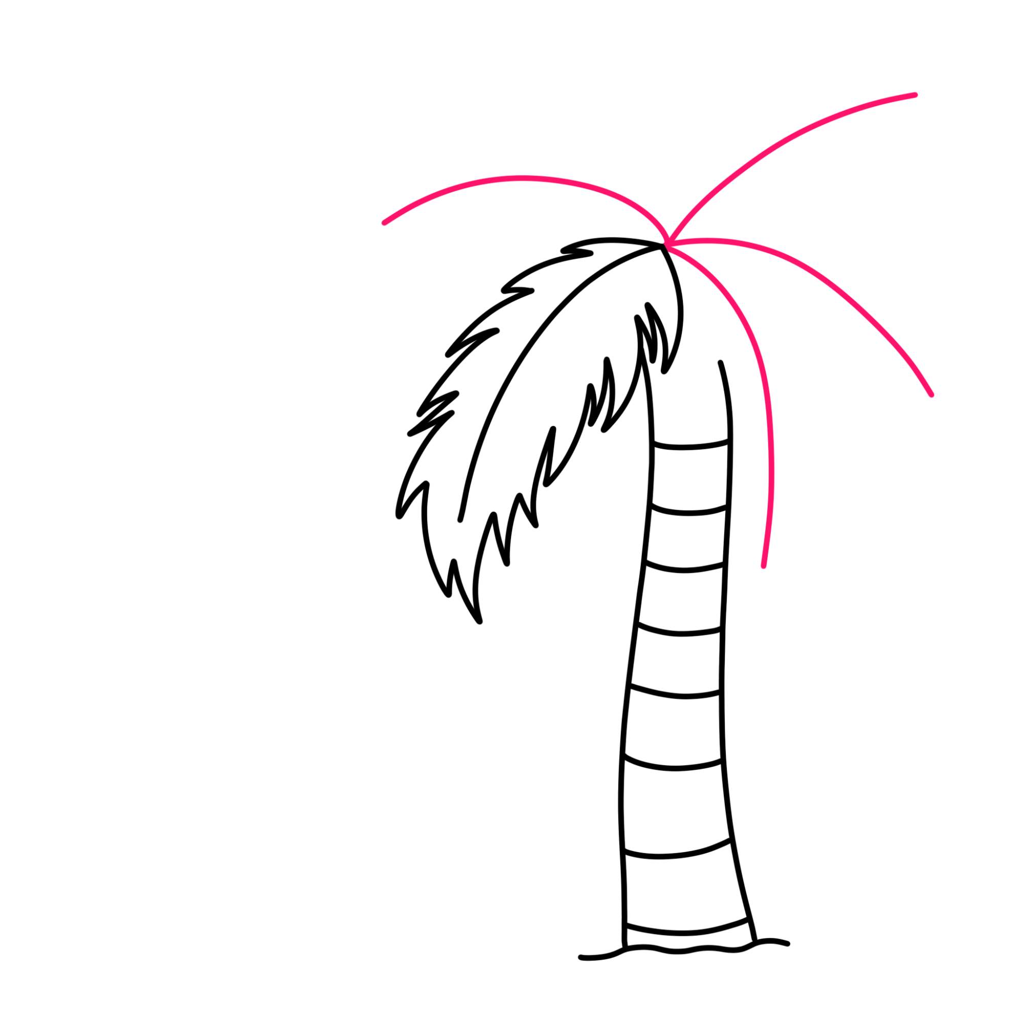 How to Draw a Palm Tree - Step-6