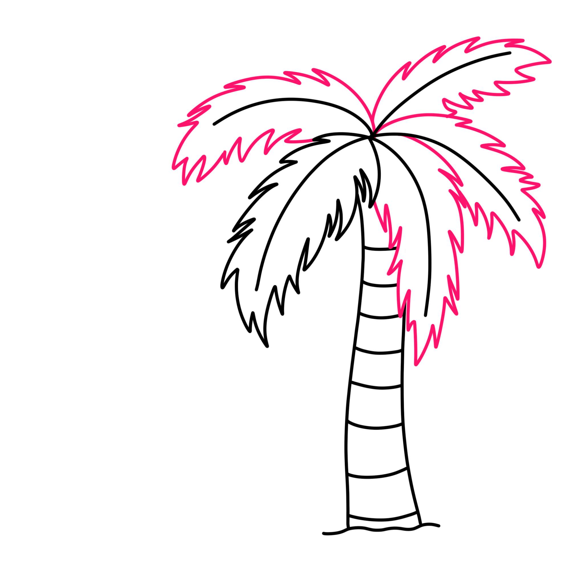 How to Draw a Palm Tree - Step-7