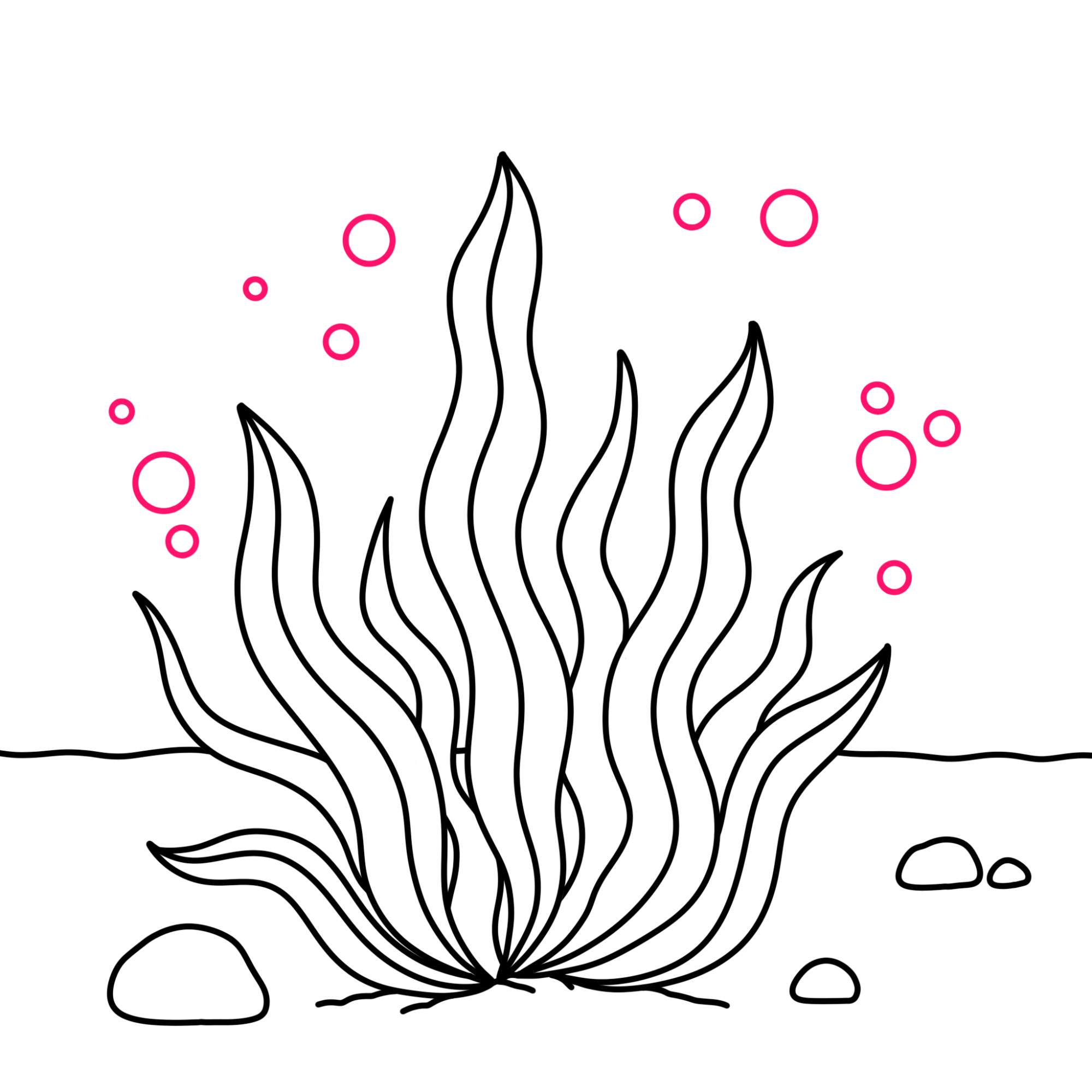 How to Draw Seaweed - Step-10