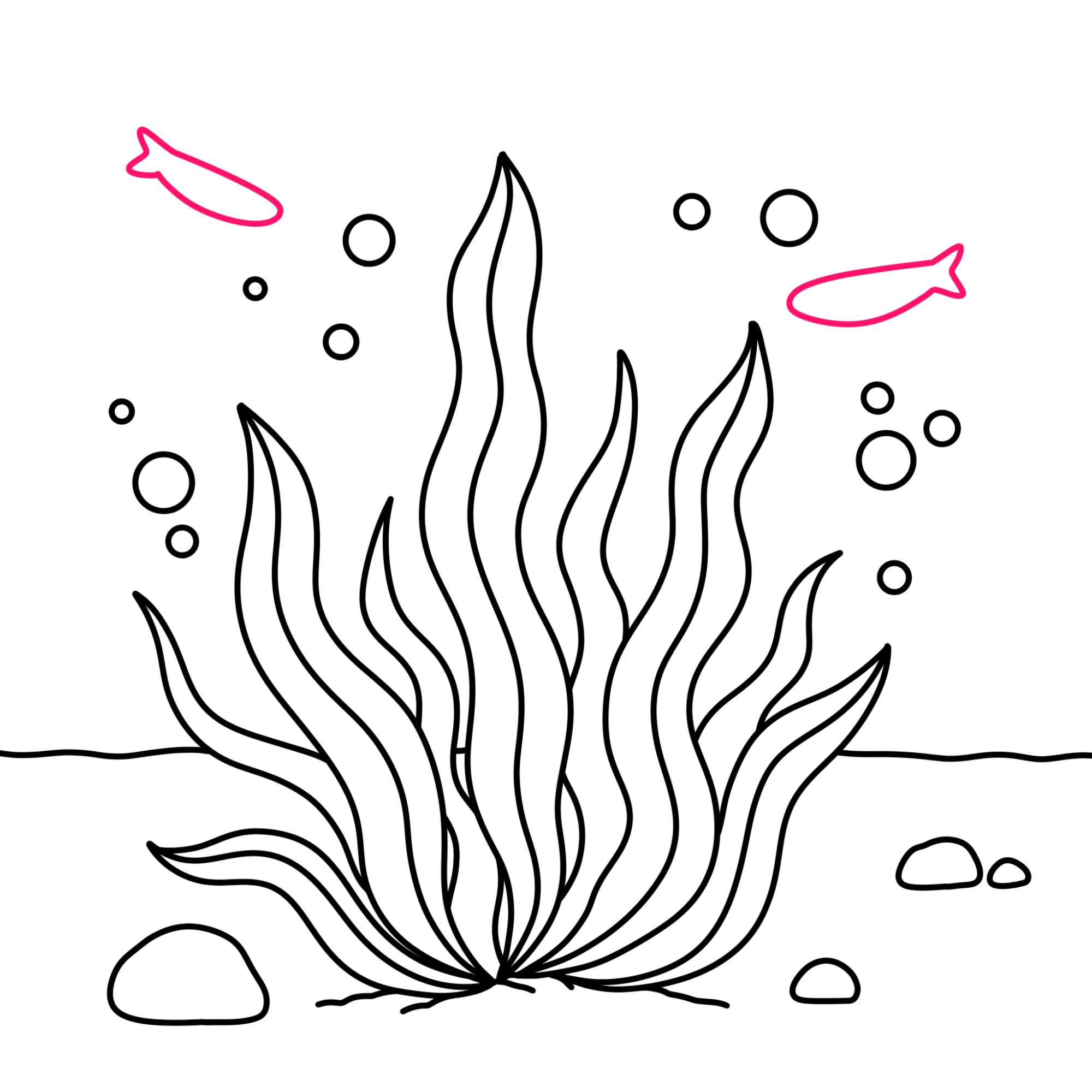 How to Draw Seaweed - Step-11