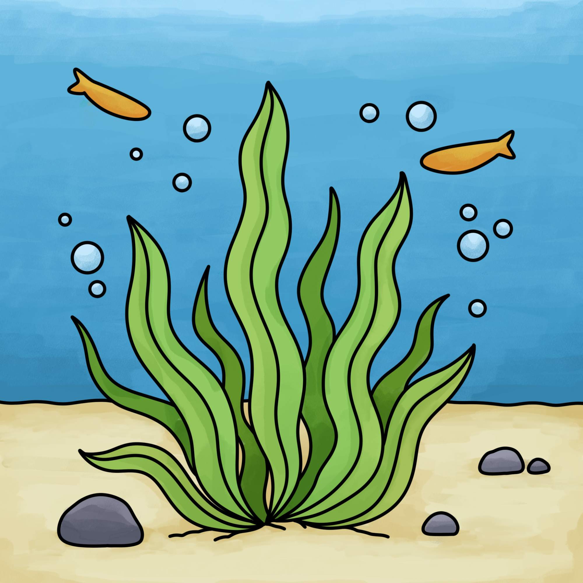 How to Draw Seaweed - Step-15