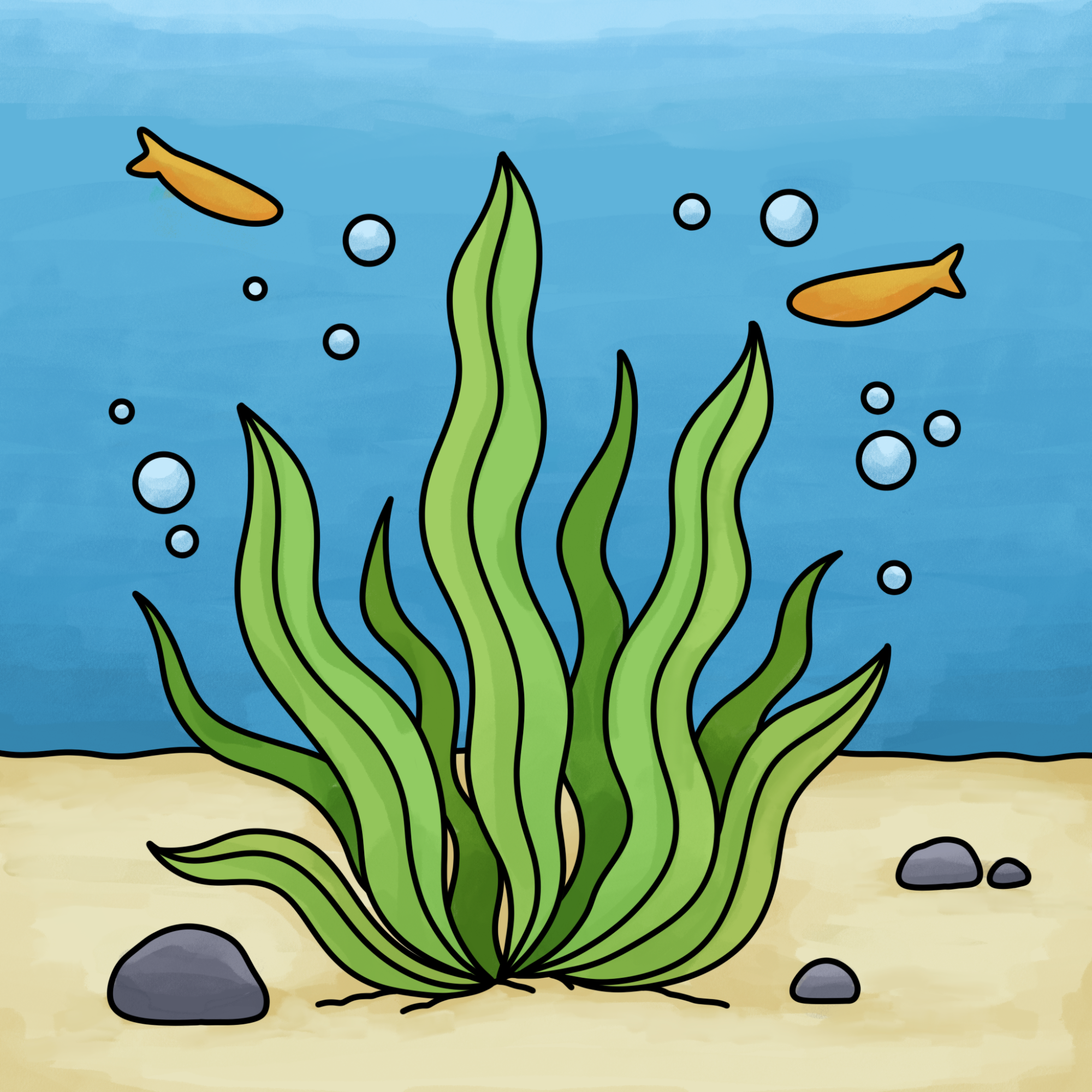 How to Draw Seaweed