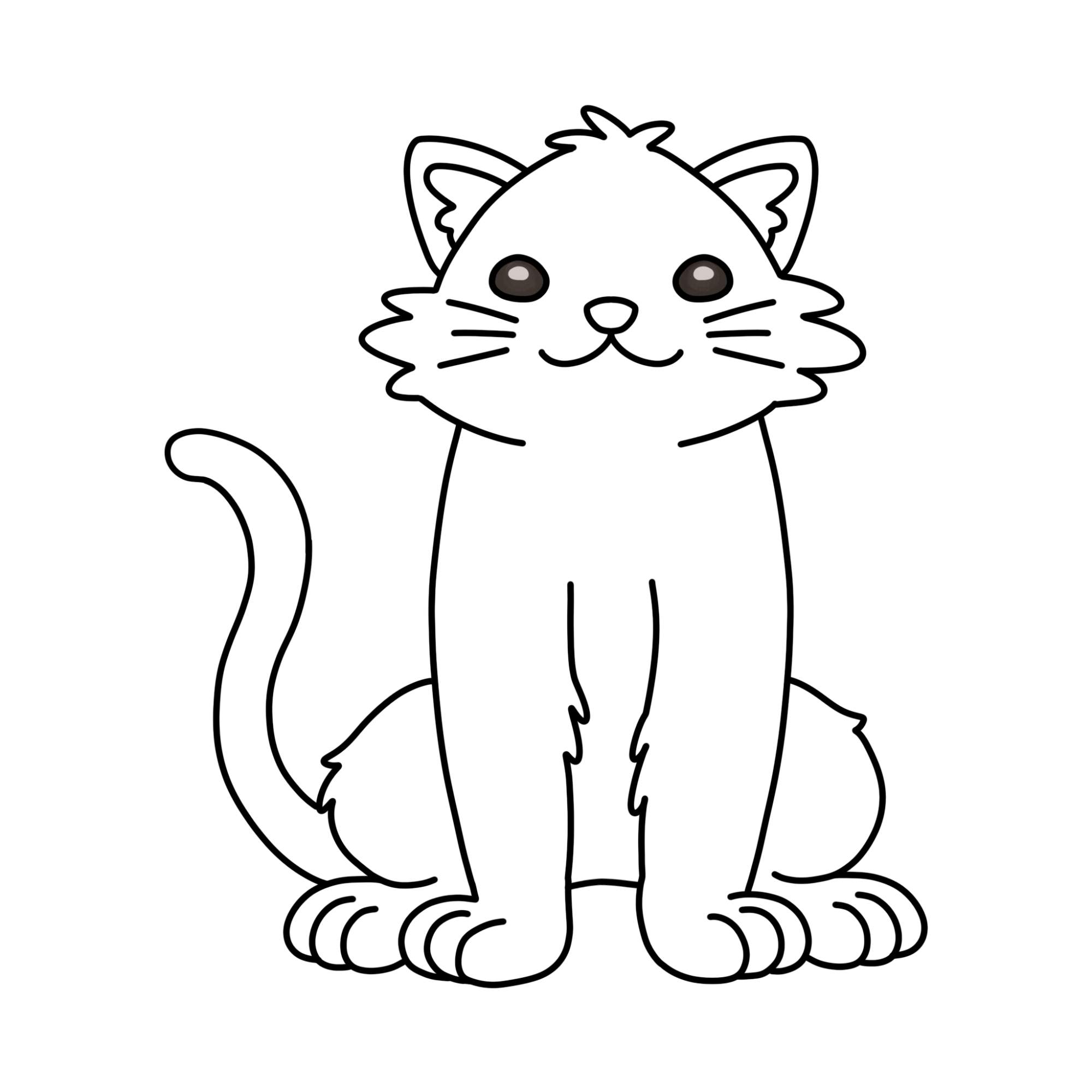 Cat Drawing for Kids - Step-12