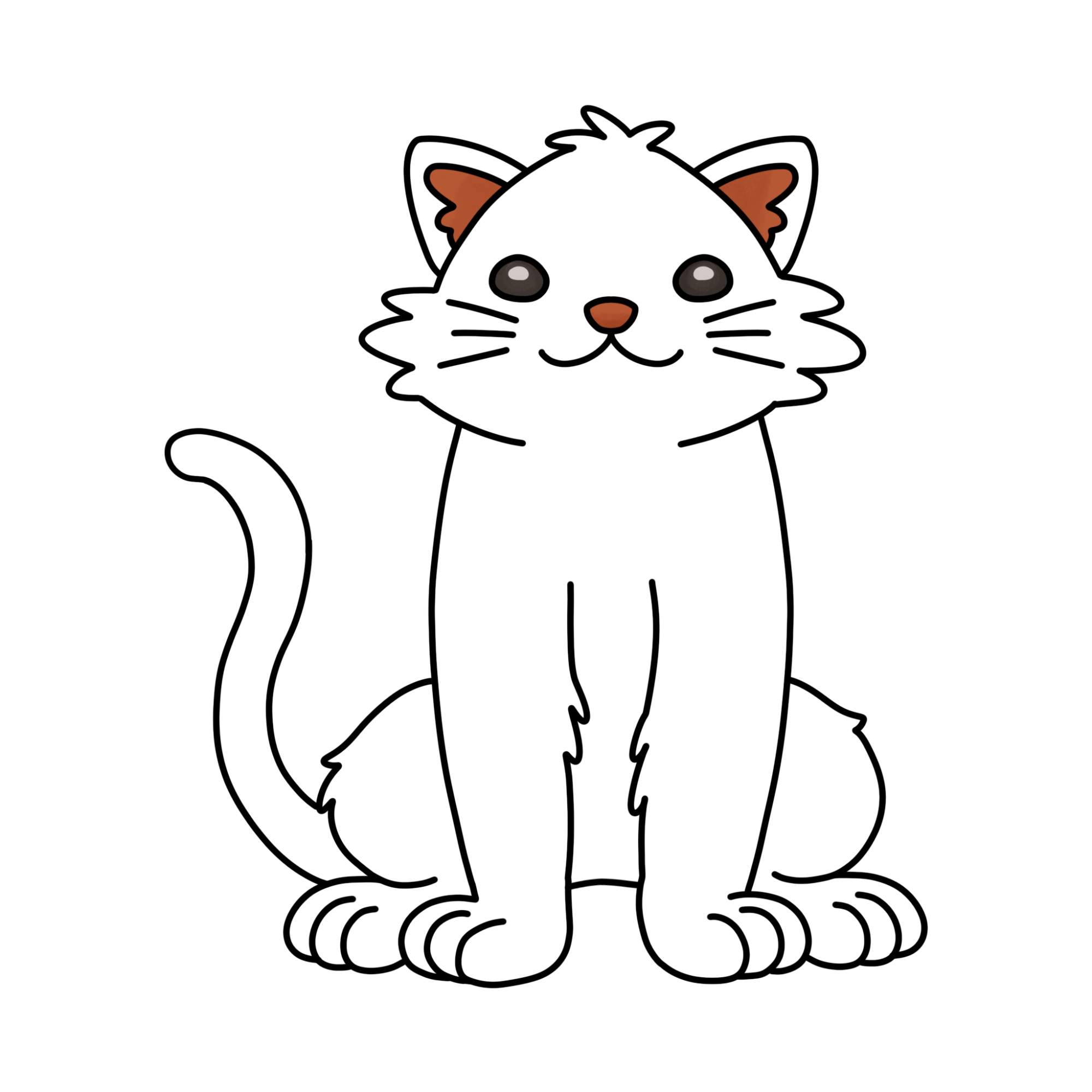 Cat Drawing for Kids - Step-13