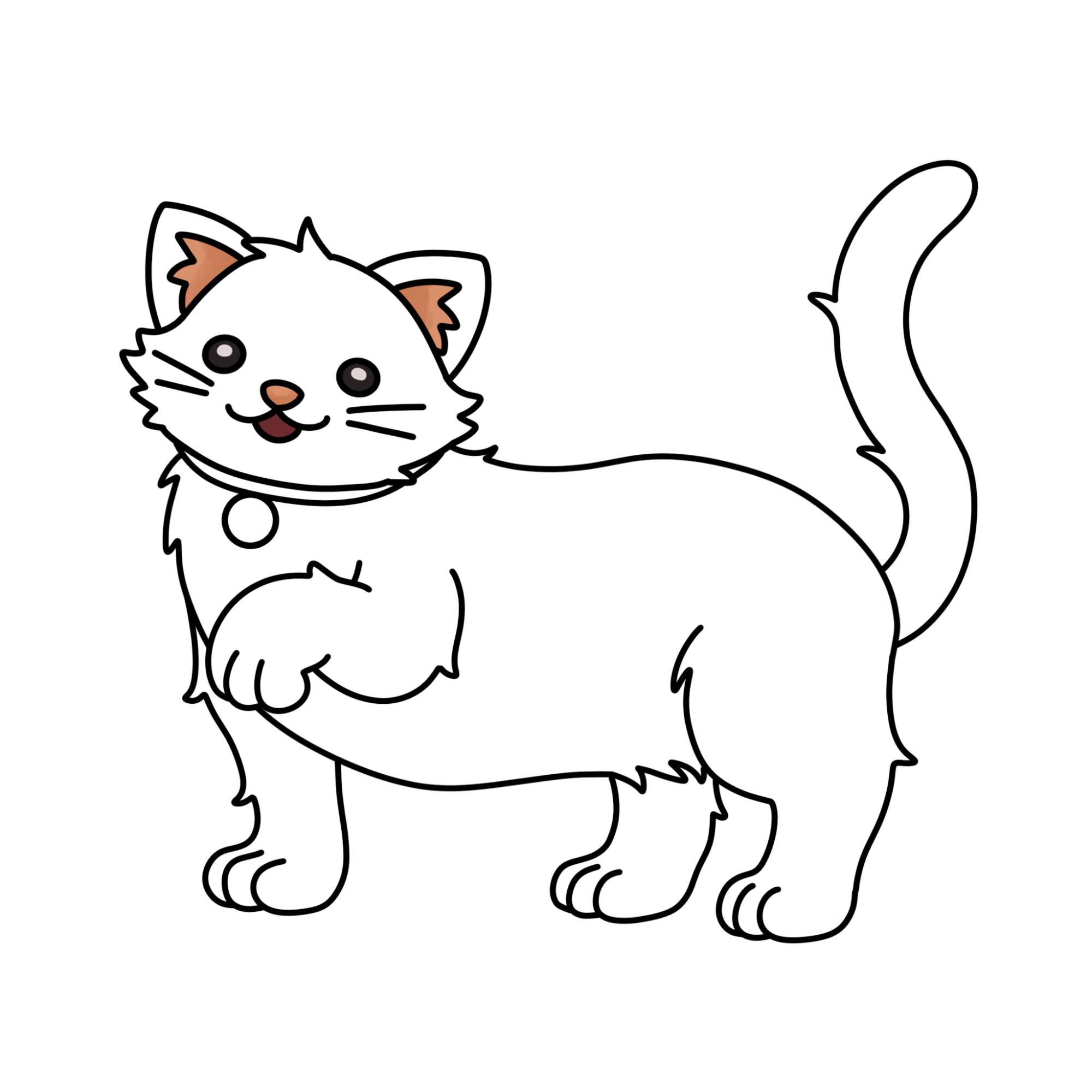 Cute Cat Drawing (easy) - Step-12