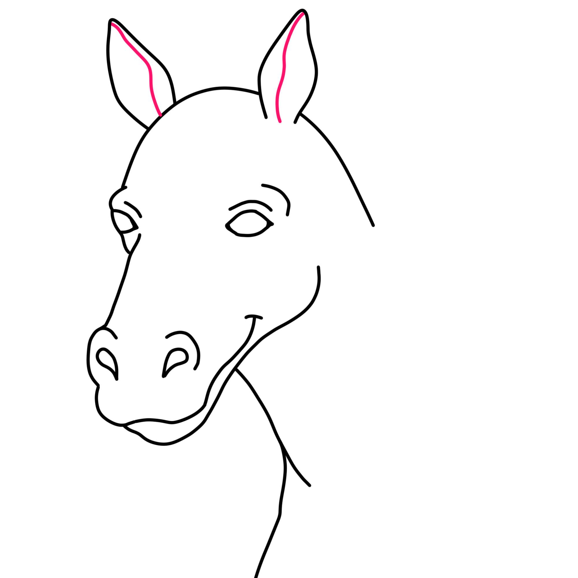 Easy Horse Head Drawing - Step-10