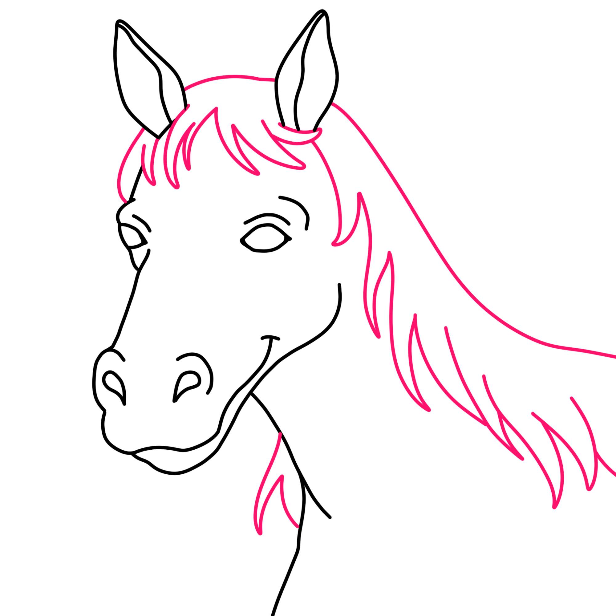 Easy Horse Head Drawing - Step-11