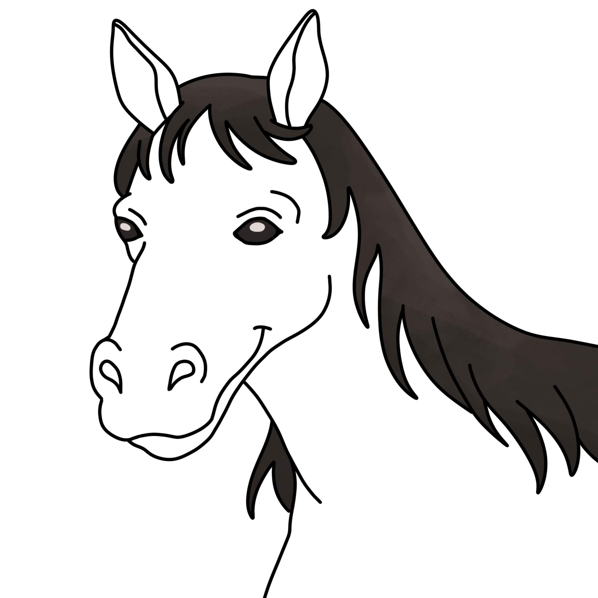 Easy Horse Head Drawing - Step-12