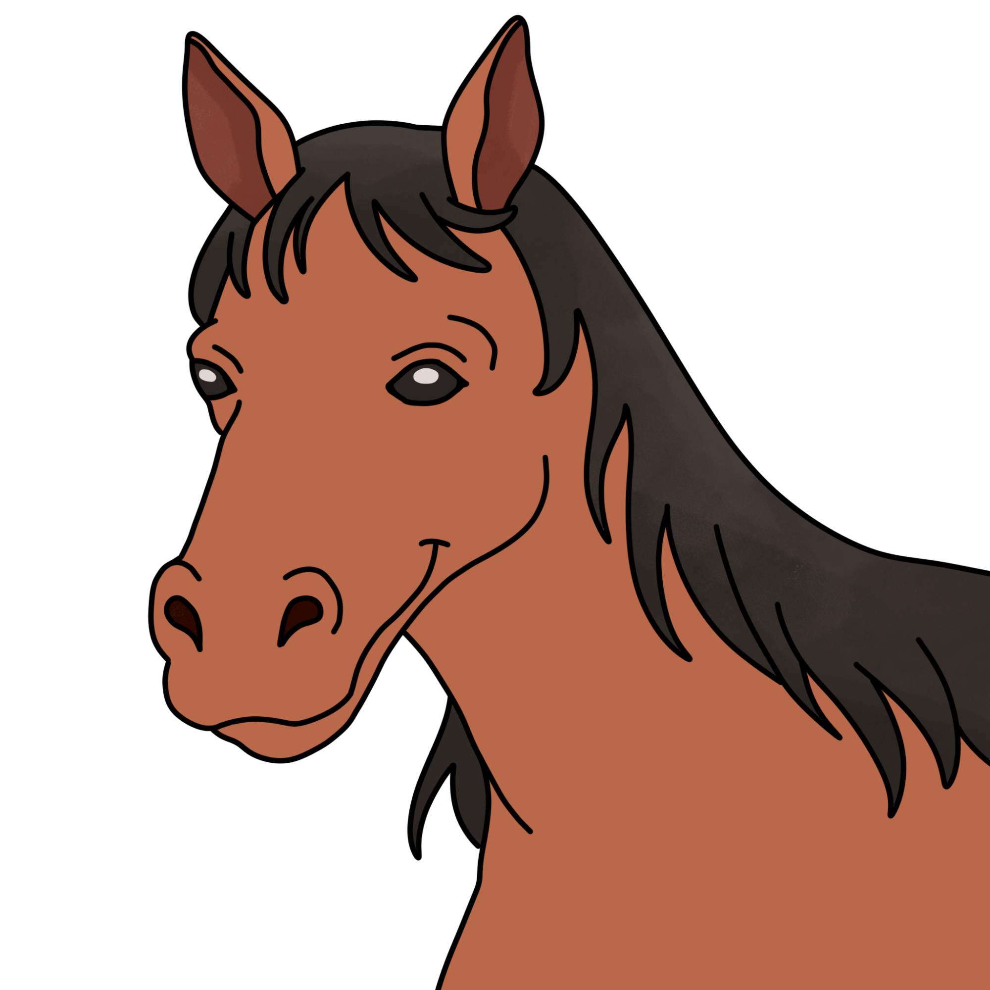 Easy Horse Head Drawing - Step-13