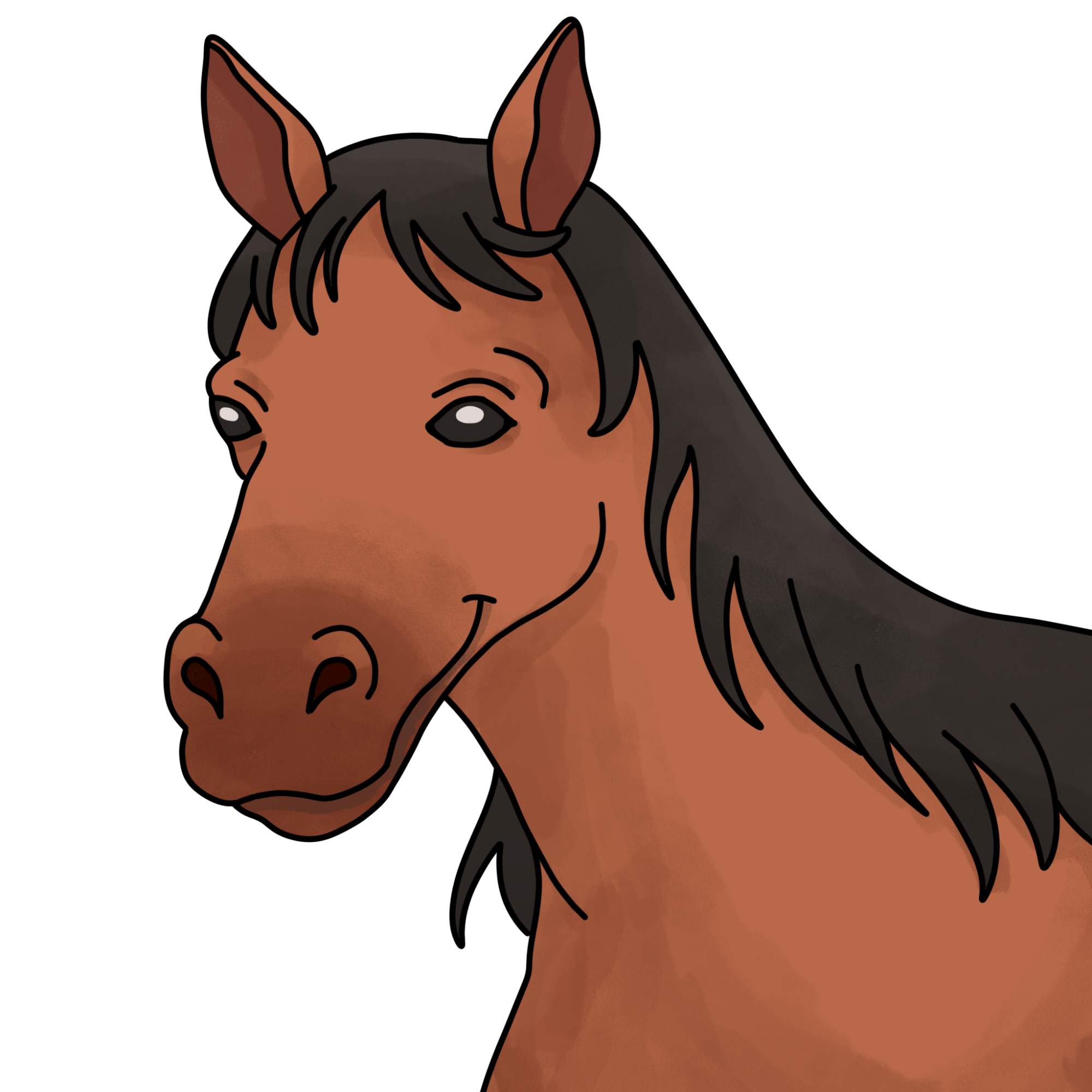 Easy Horse Head Drawing - Step-14