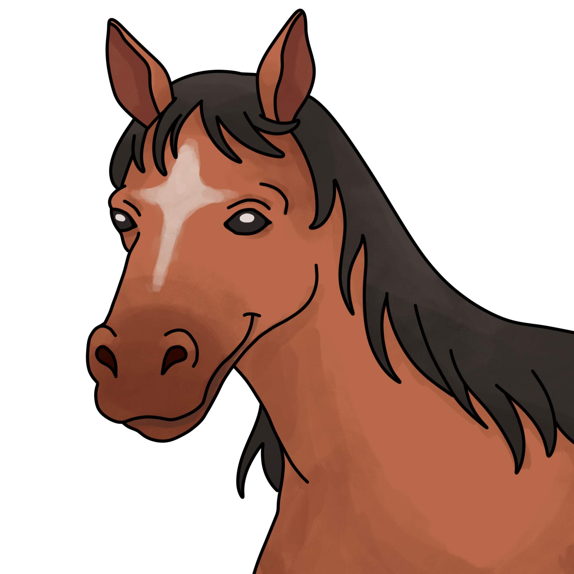 Easy Horse Head Drawing - Step-15