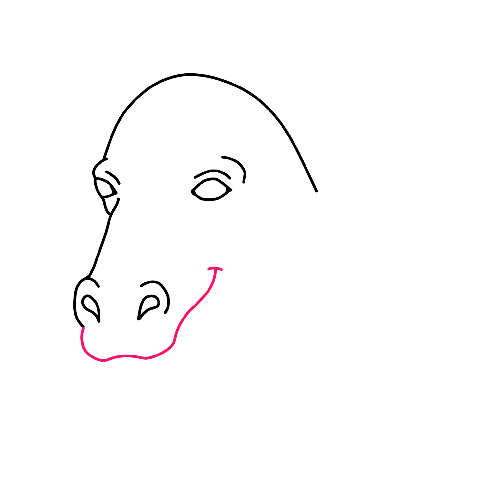 Easy Horse Head Drawing - Step-6