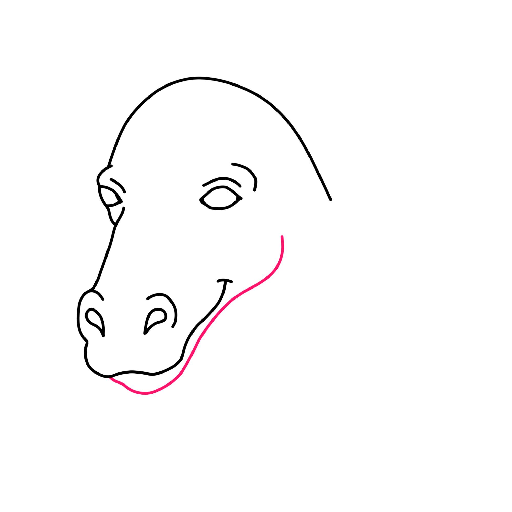 Easy Horse Head Drawing - Step-7