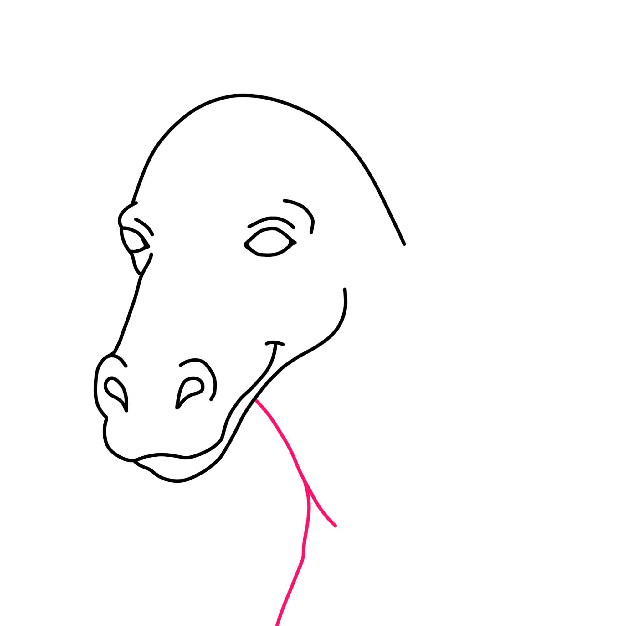 Easy Horse Head Drawing - Step-8