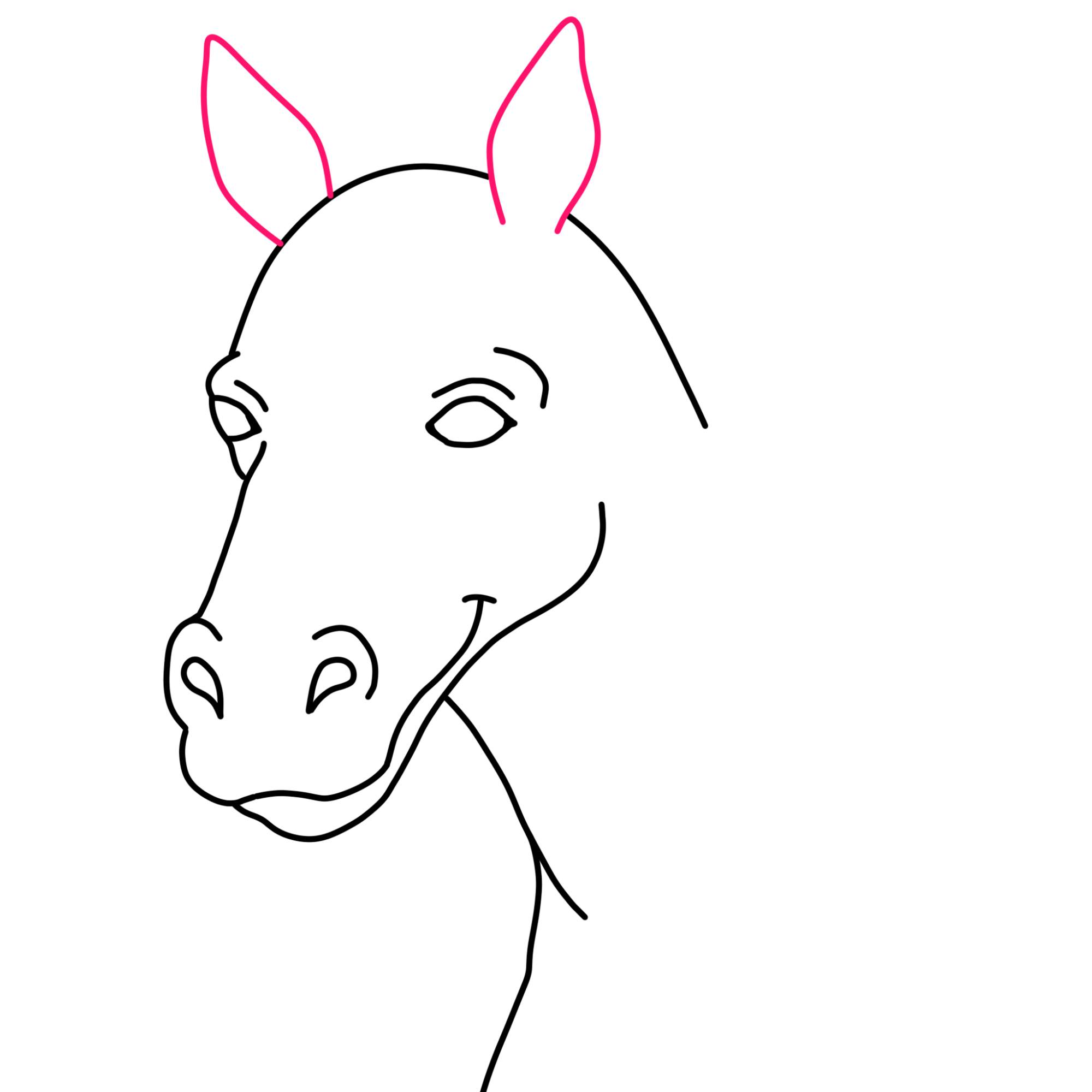 Easy Horse Head Drawing - Step-9