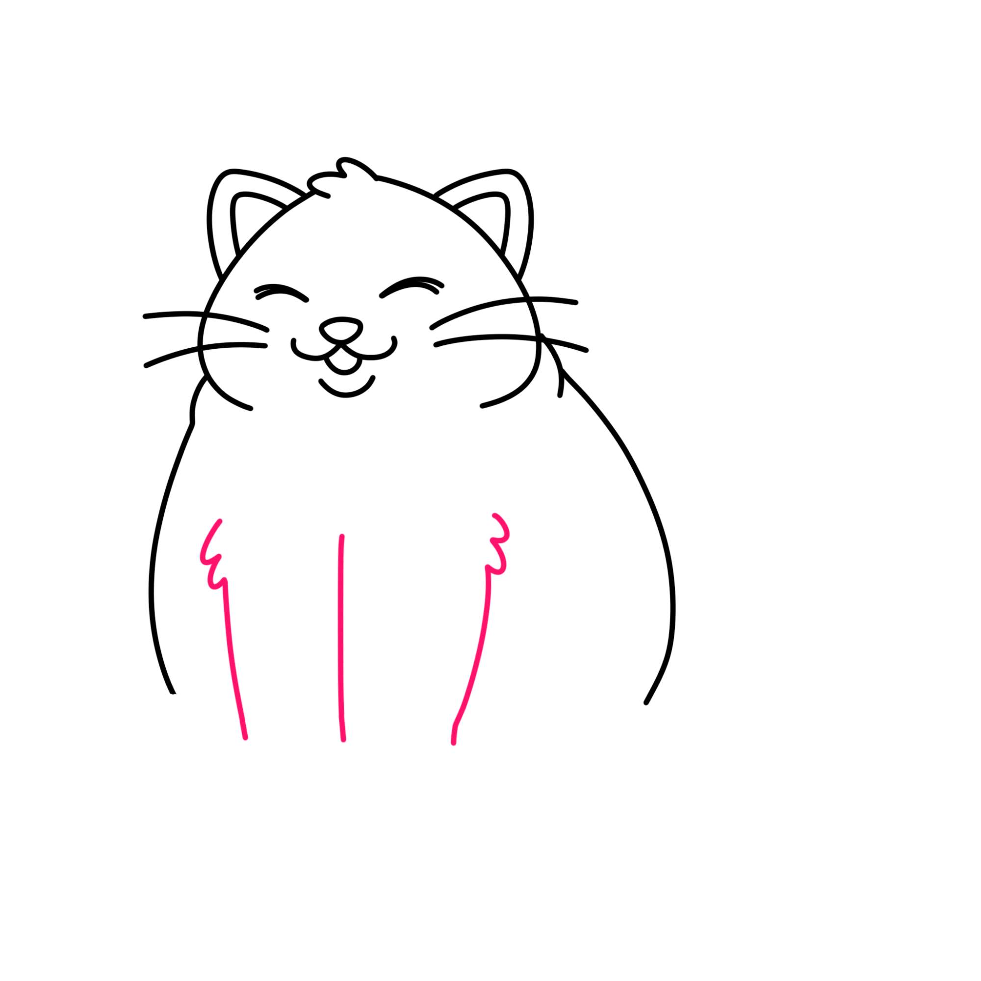 Fat Cat Drawing - Step-10