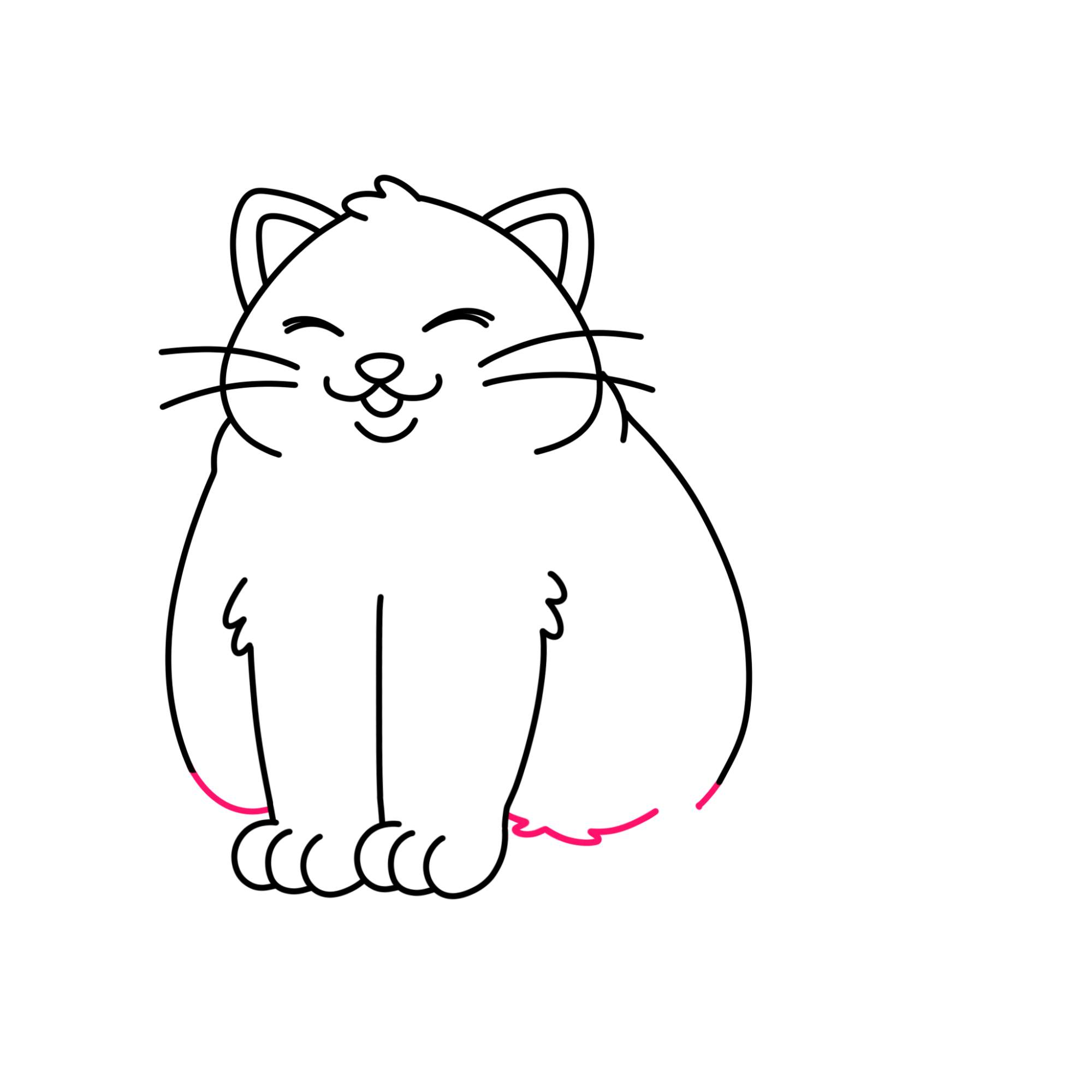 Fat Cat Drawing - Step-12