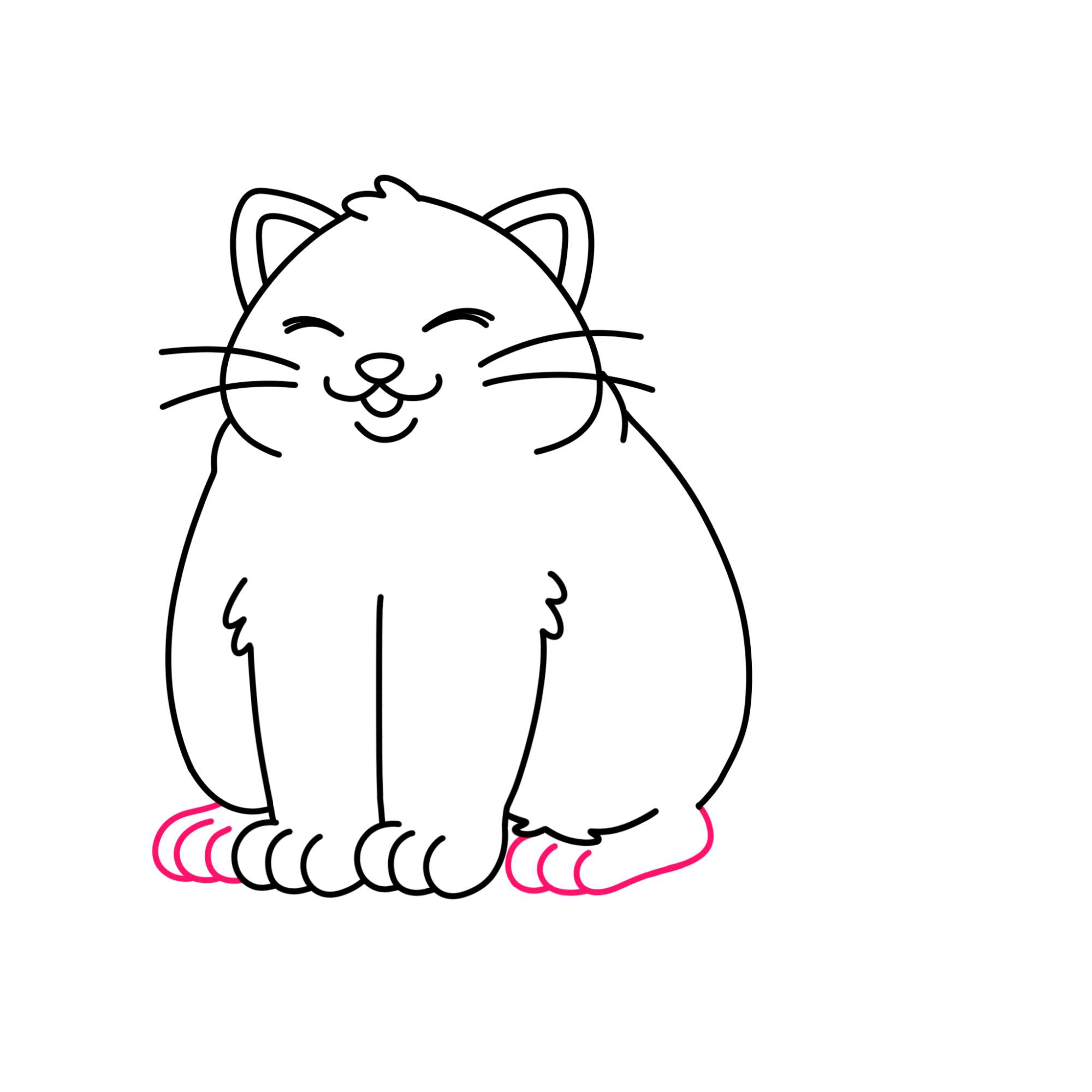 Fat Cat Drawing - Step-13