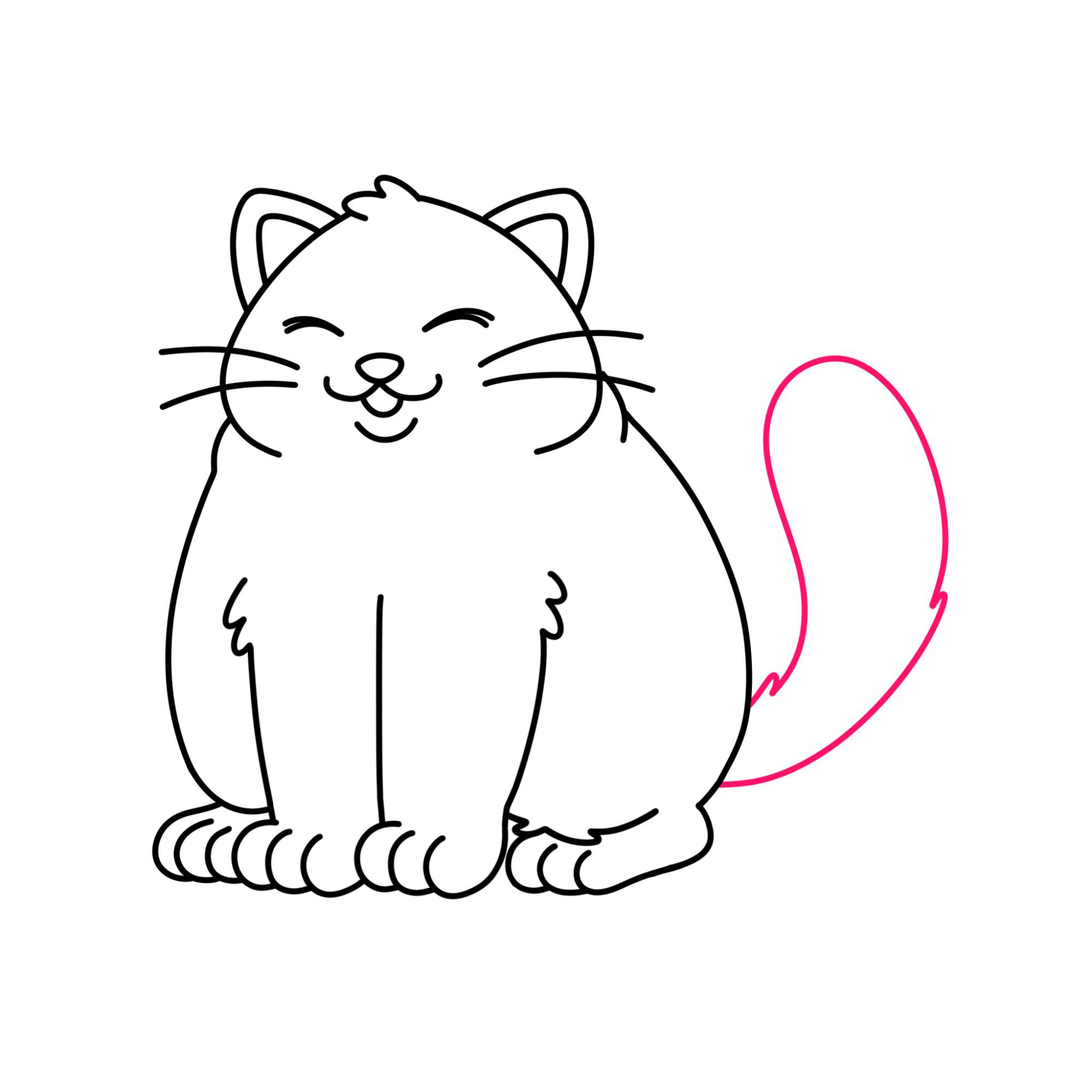 Fat Cat Drawing - Step-14