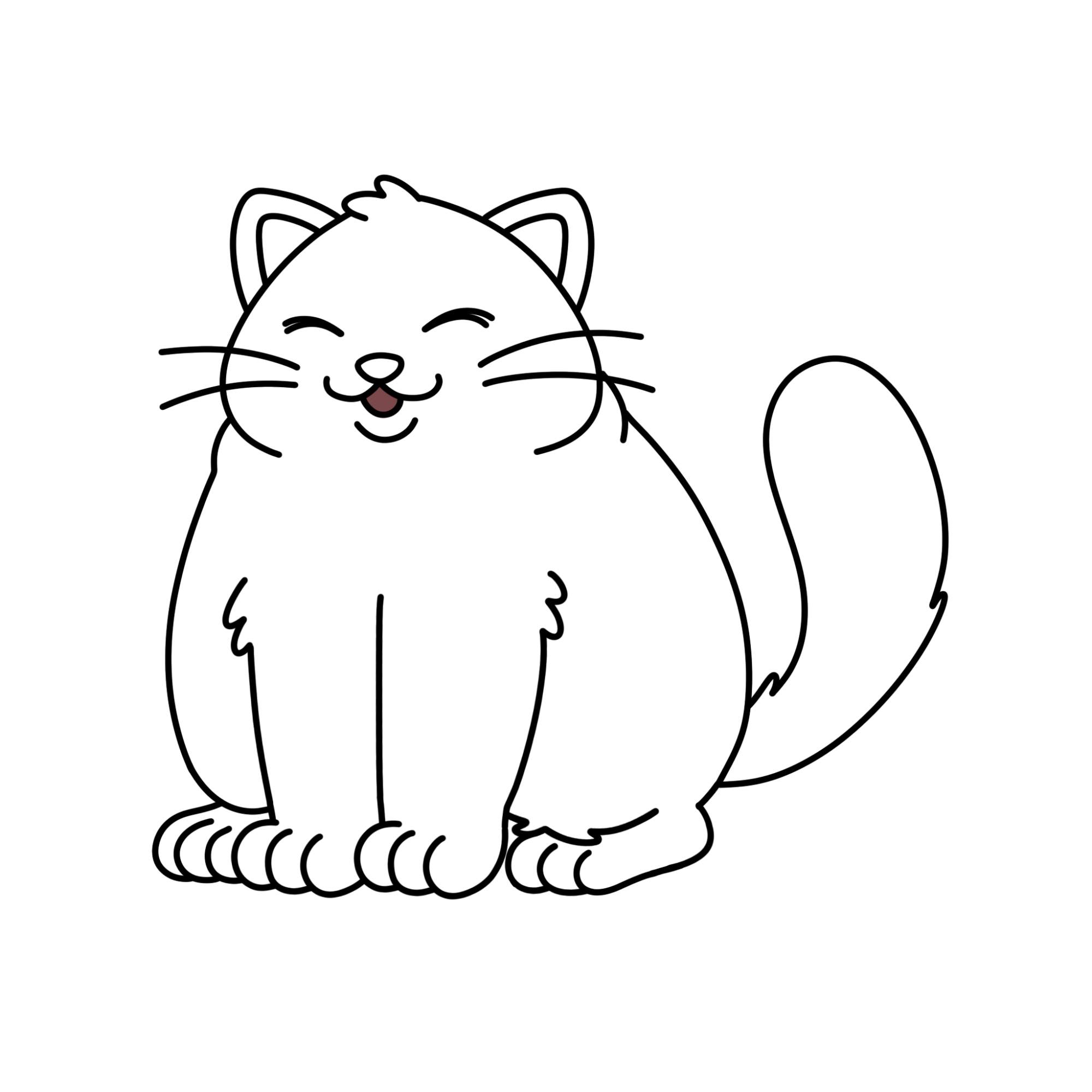 Fat Cat Drawing - Step-15