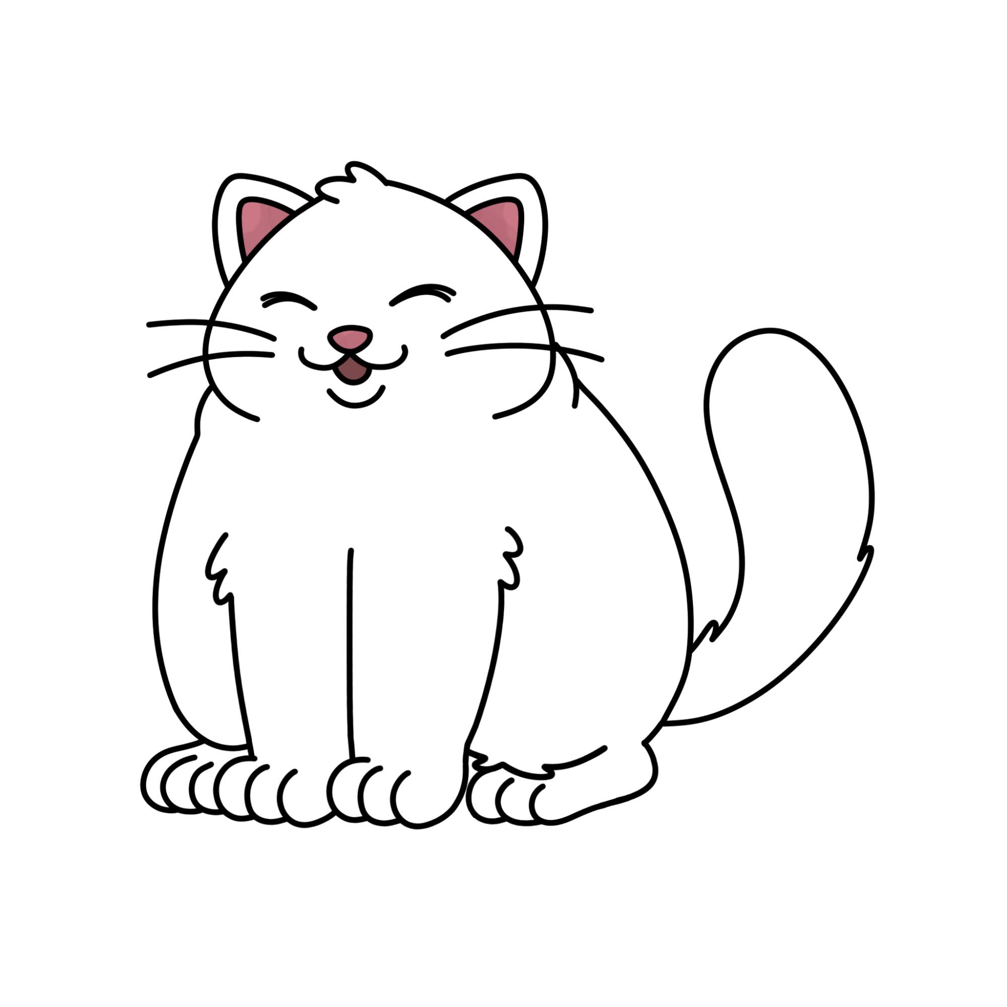 Fat Cat Drawing - Step-16