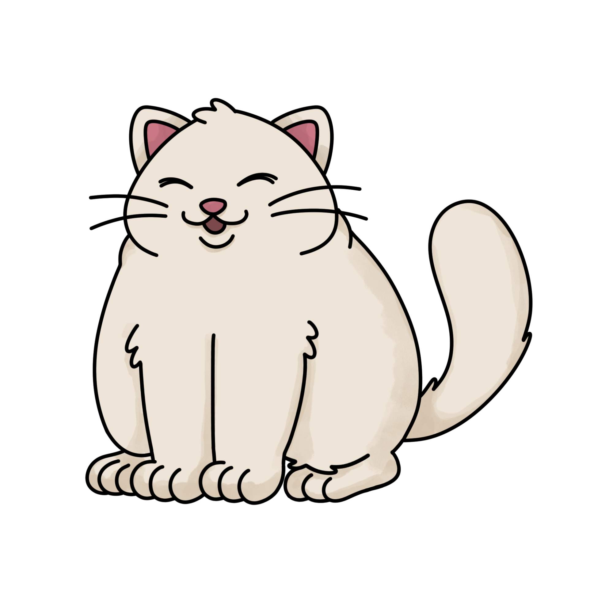 Fat Cat Drawing - Step-17