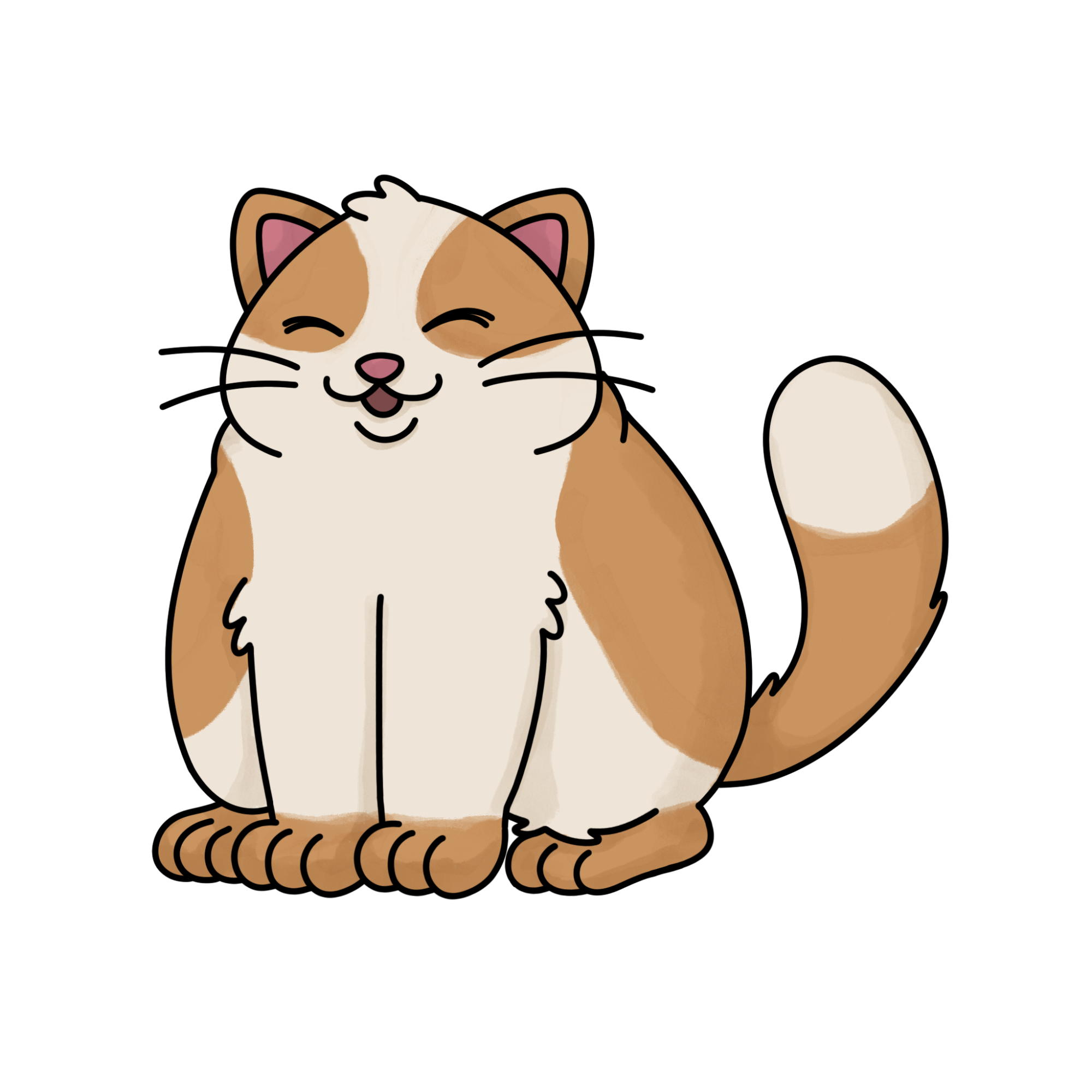 Fat Cat Drawing