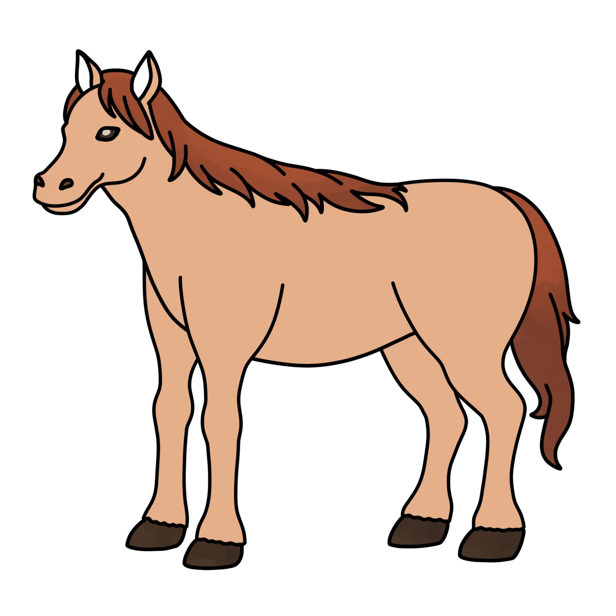 Horse Drawing for Kids - Step-14