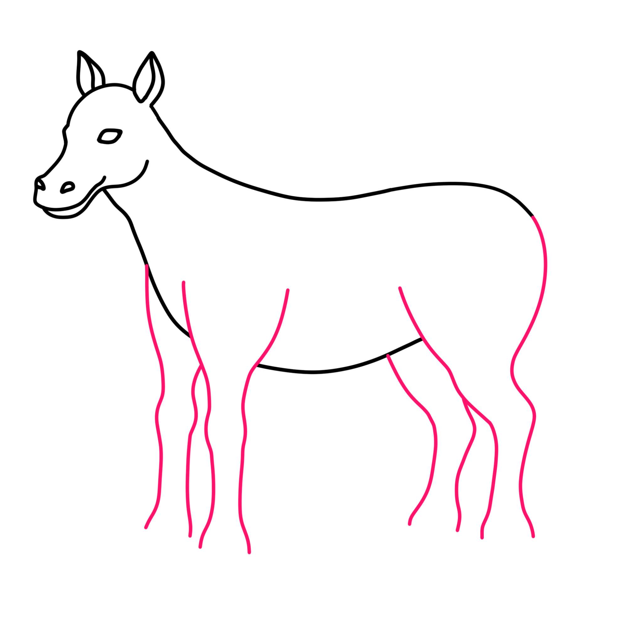 Horse Drawing for Kids - Step-8