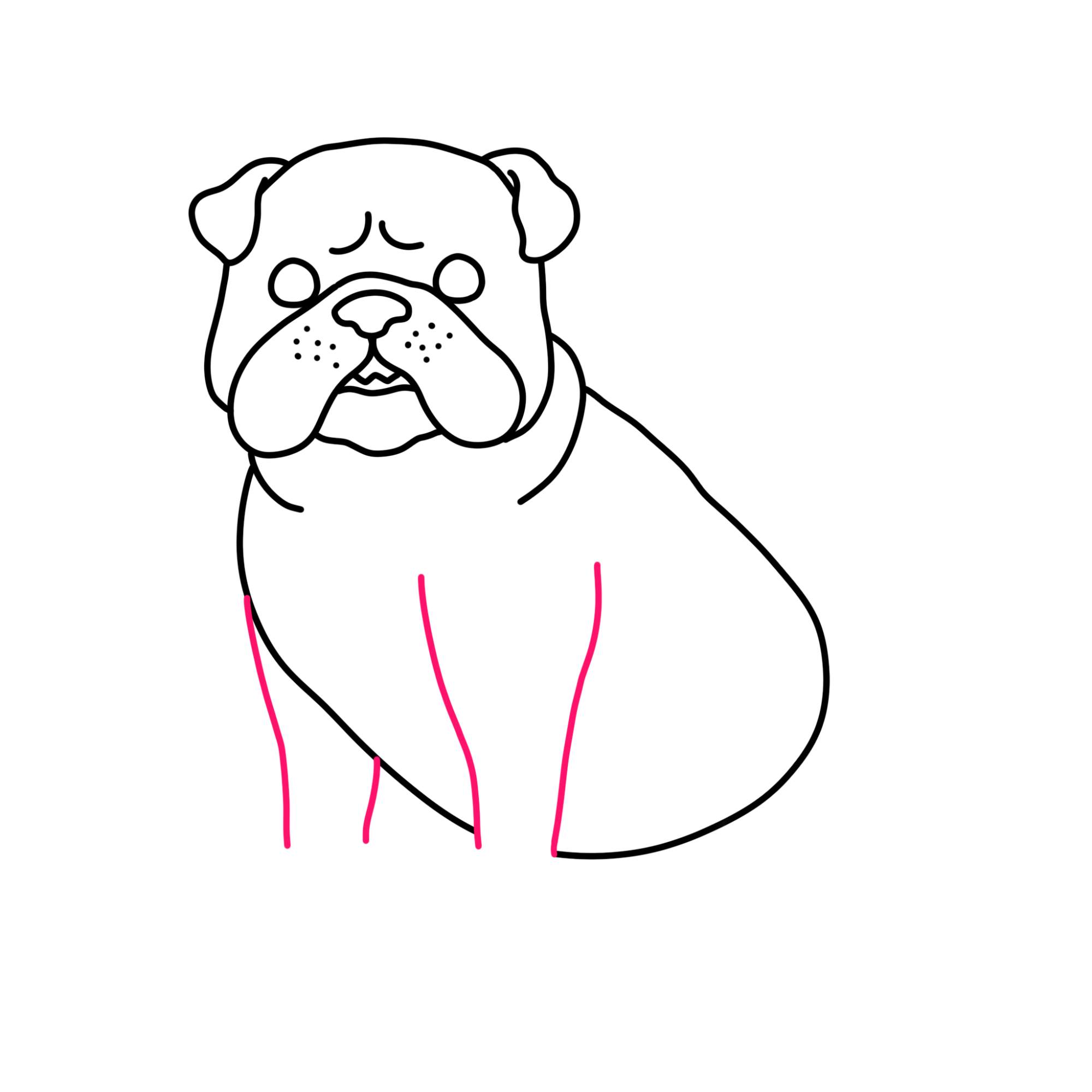 How to Draw a Bulldog - Step-10