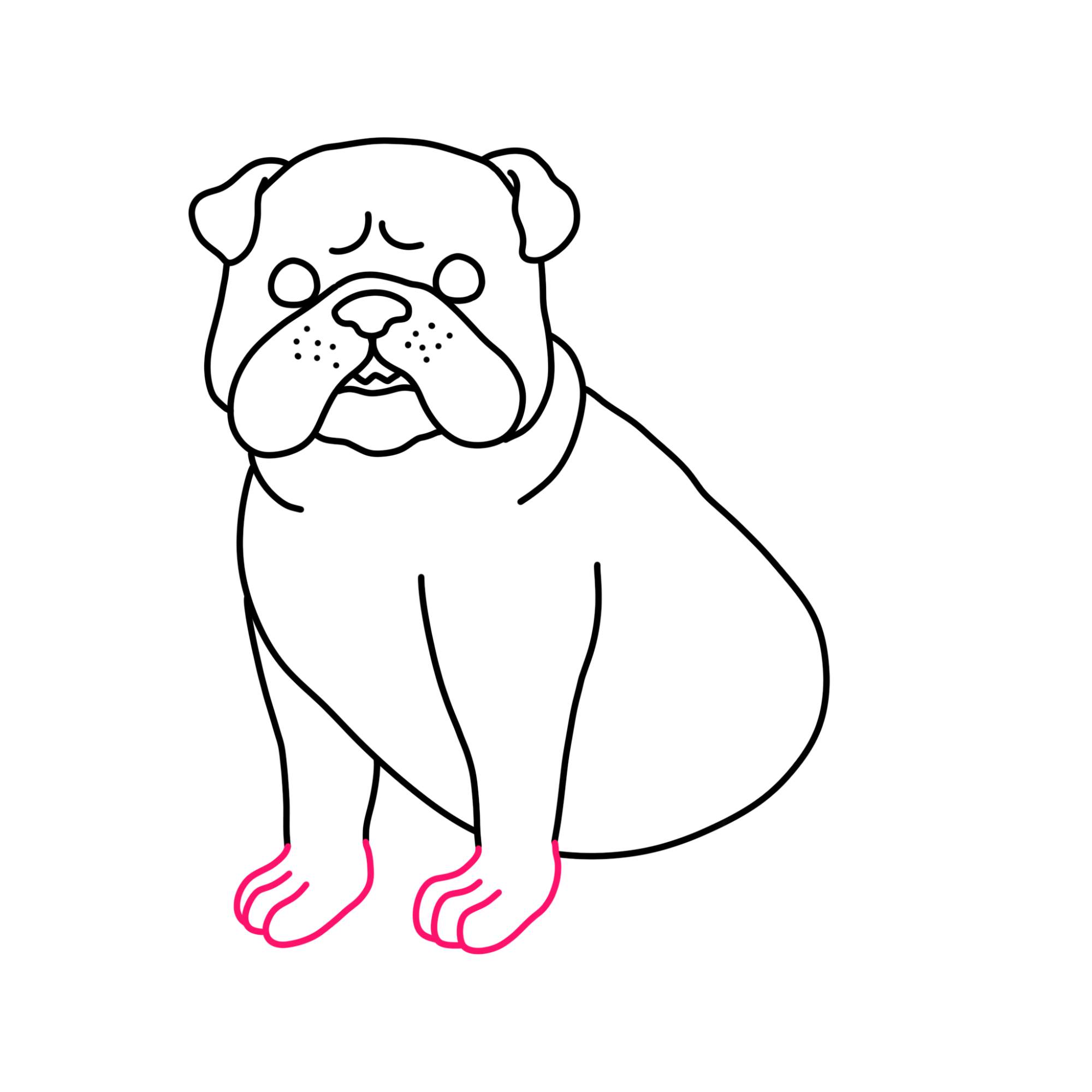 How to Draw a Bulldog - Step-11