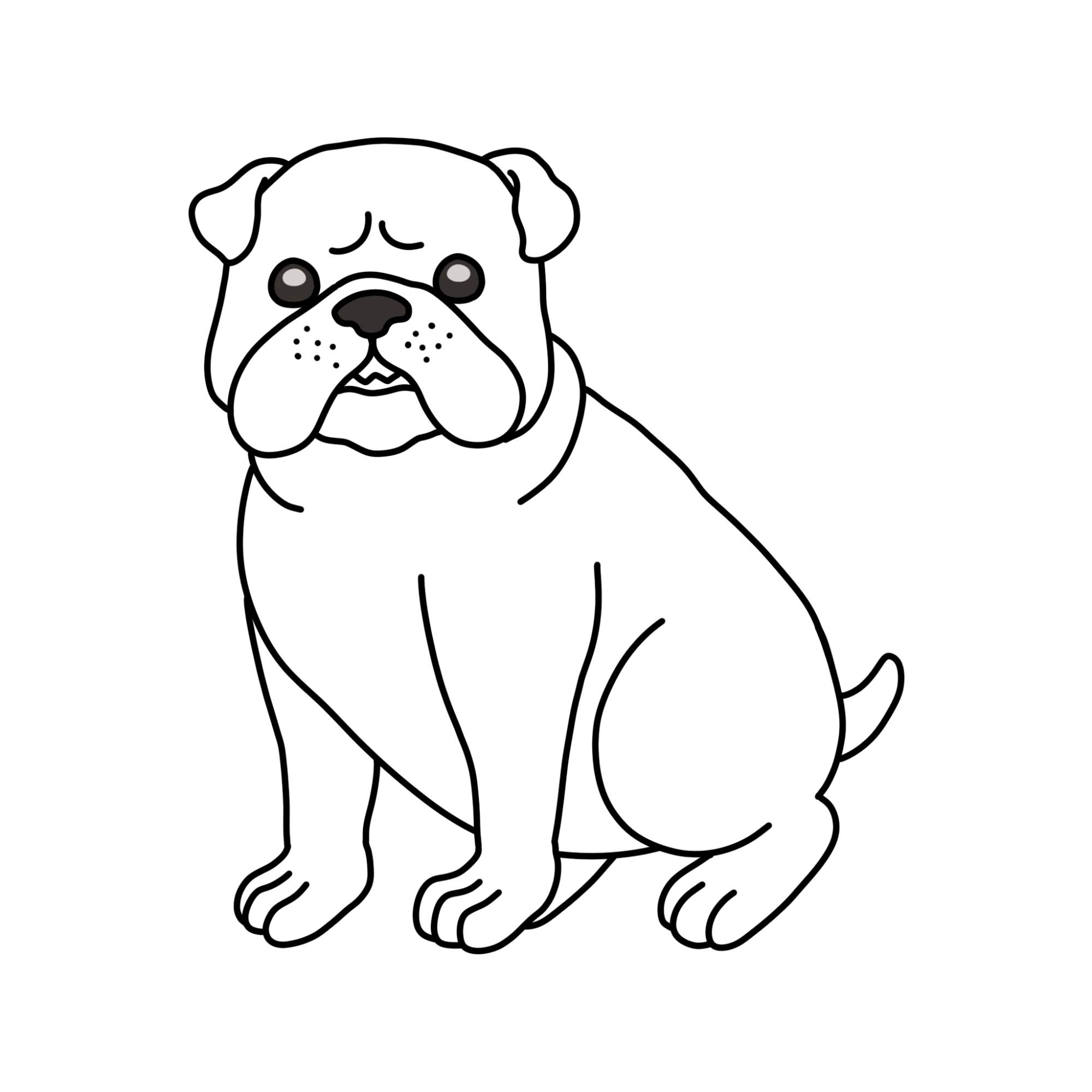 How to Draw a Bulldog - Step-15