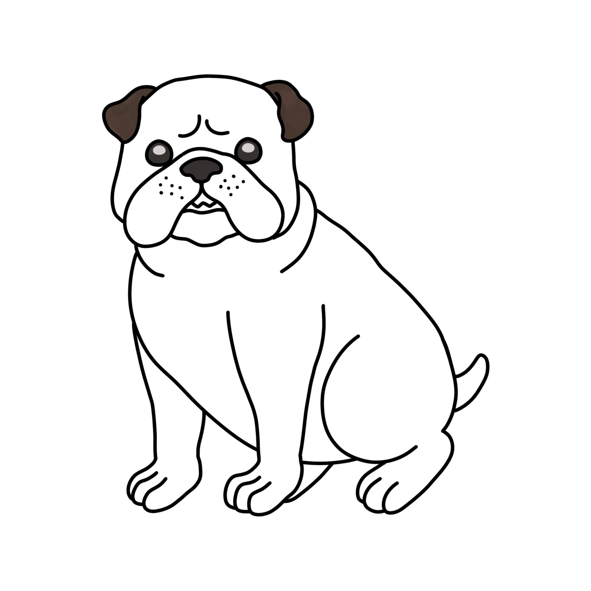 How to Draw a Bulldog - Step-16