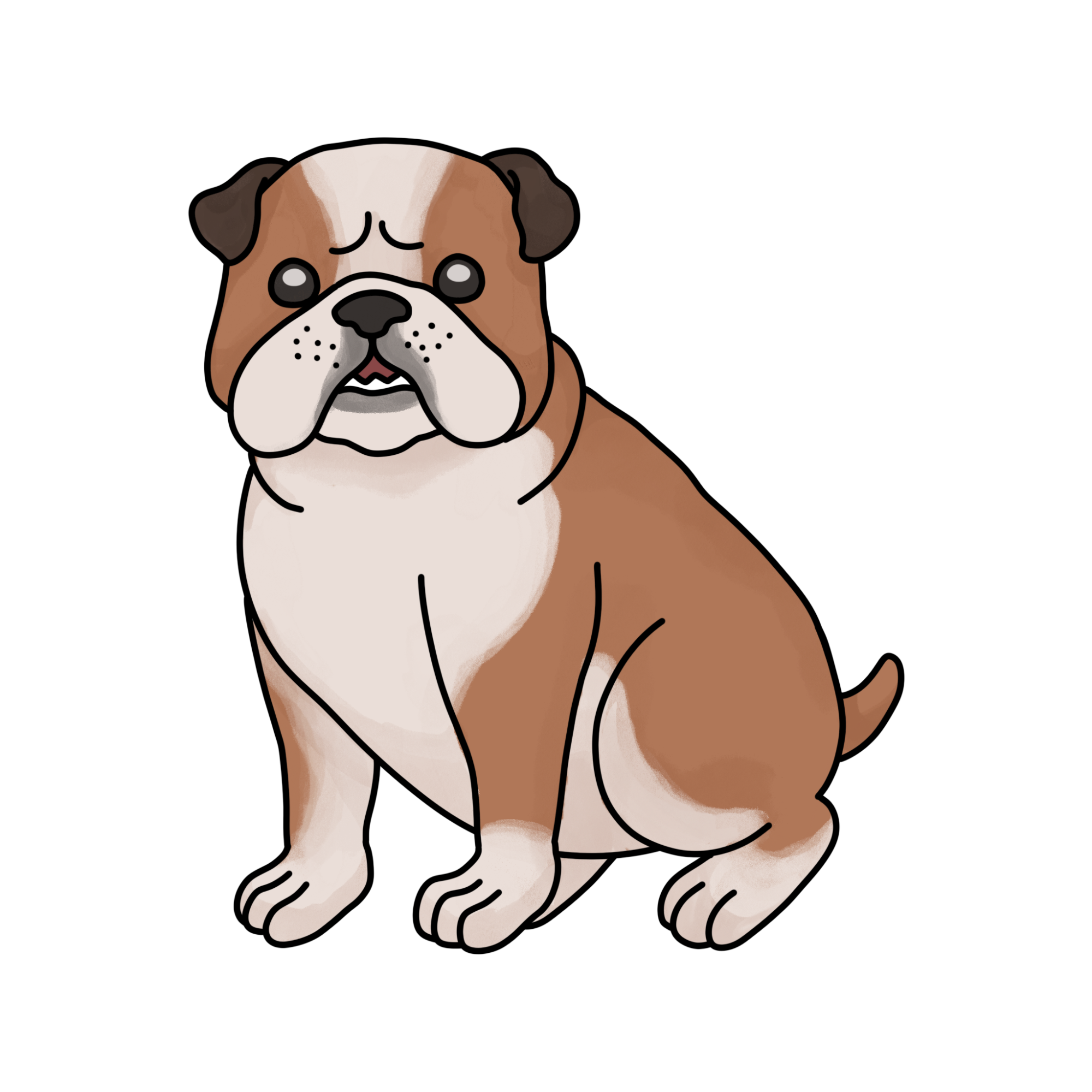 How to Draw a Bulldog