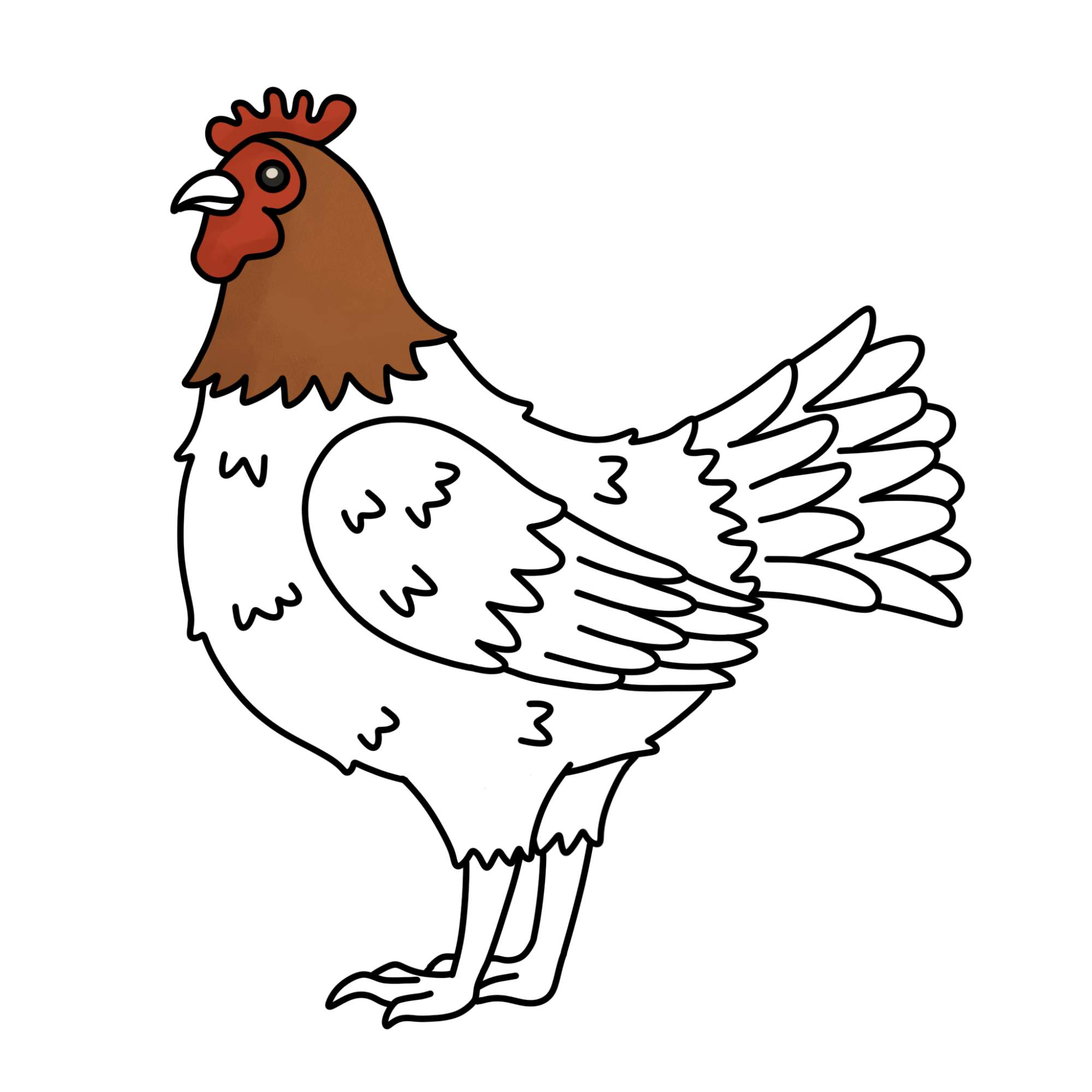 How to Draw a Chicken - Step-12