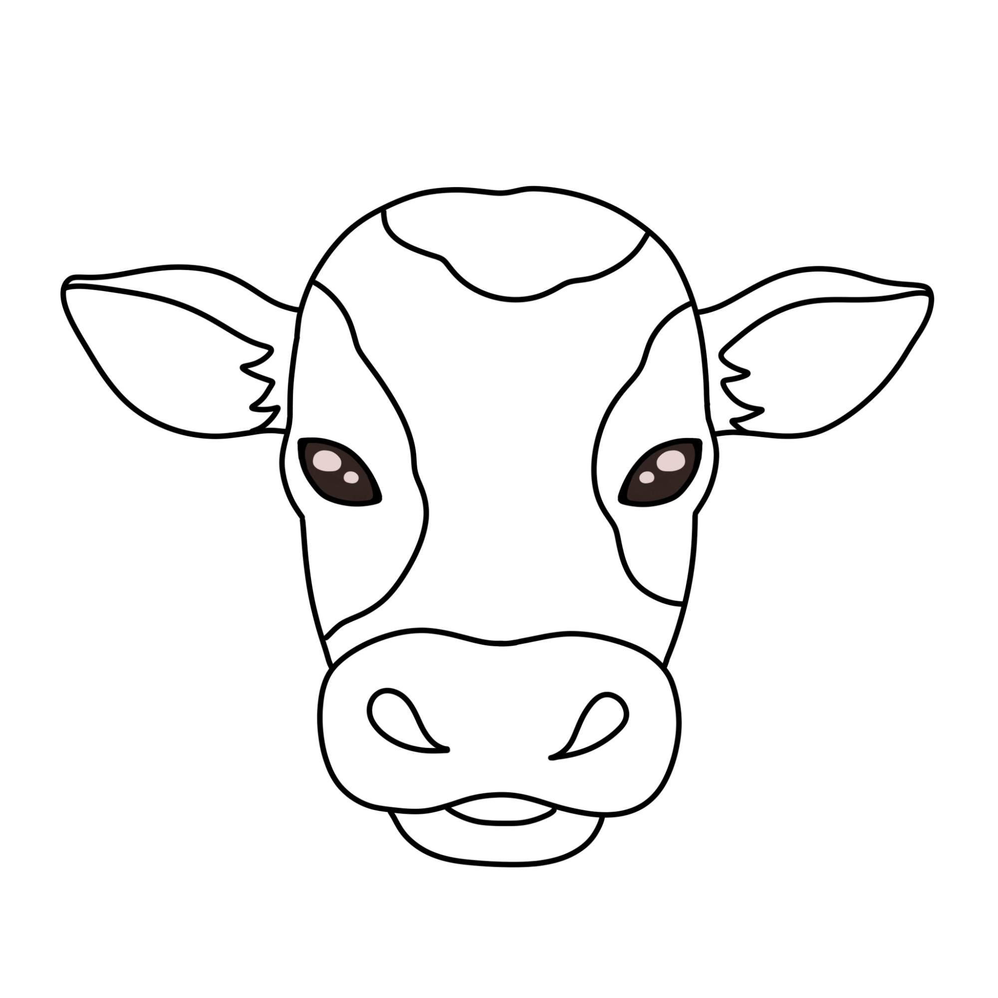 How to Draw a Cow Face - Step-9