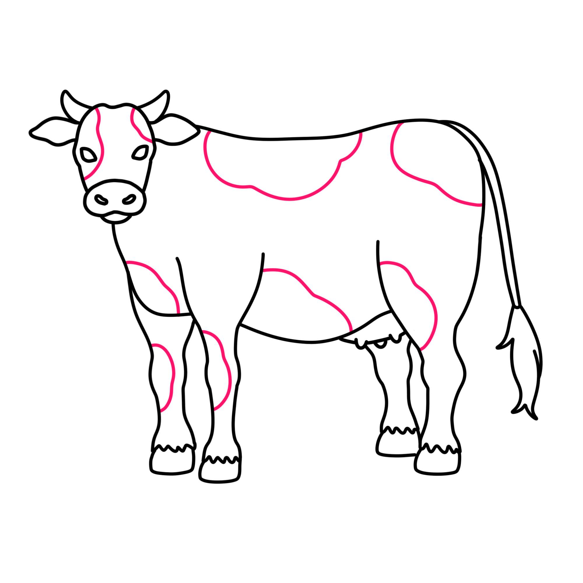 How to Draw a Cow - Step-10