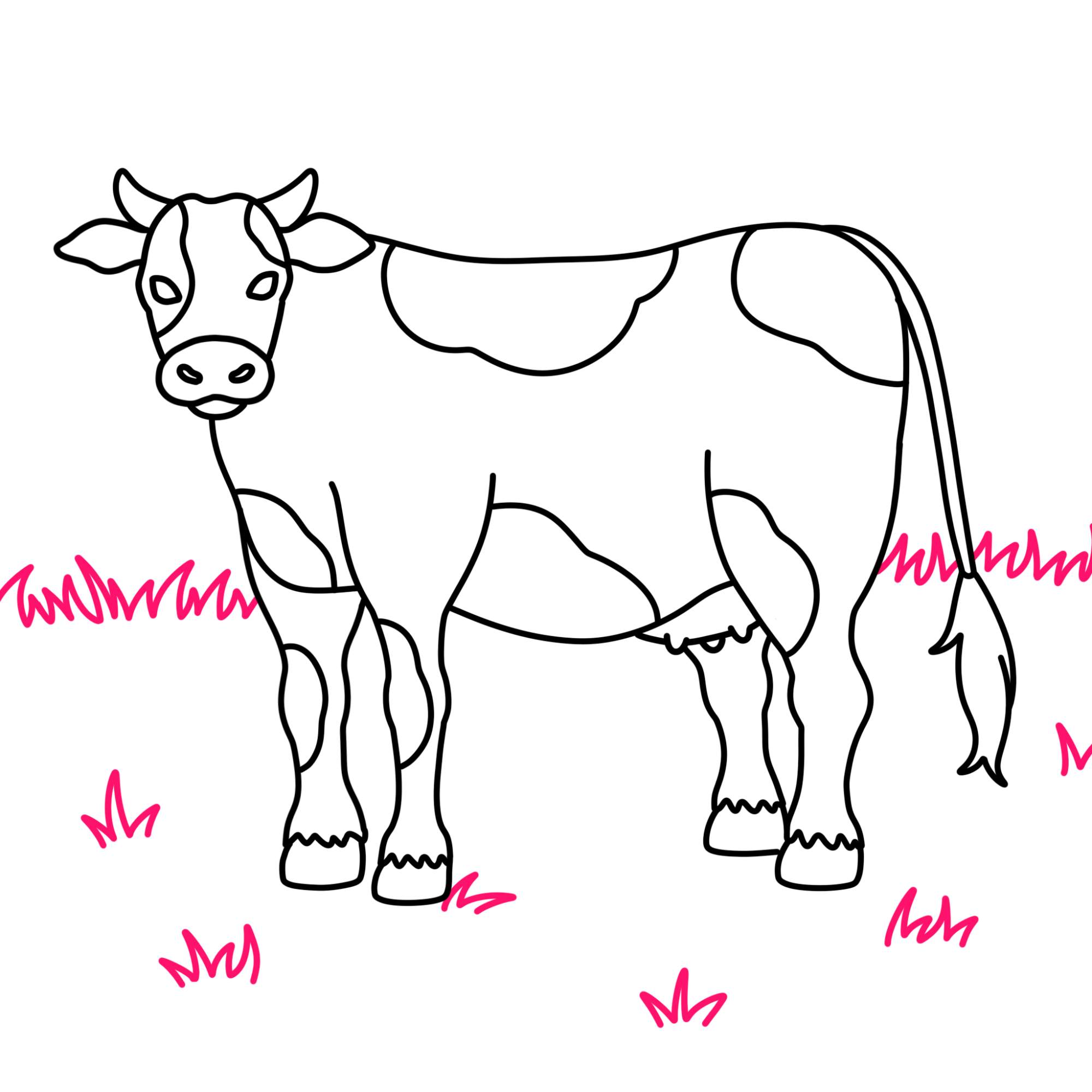 How to Draw a Cow - Step-11