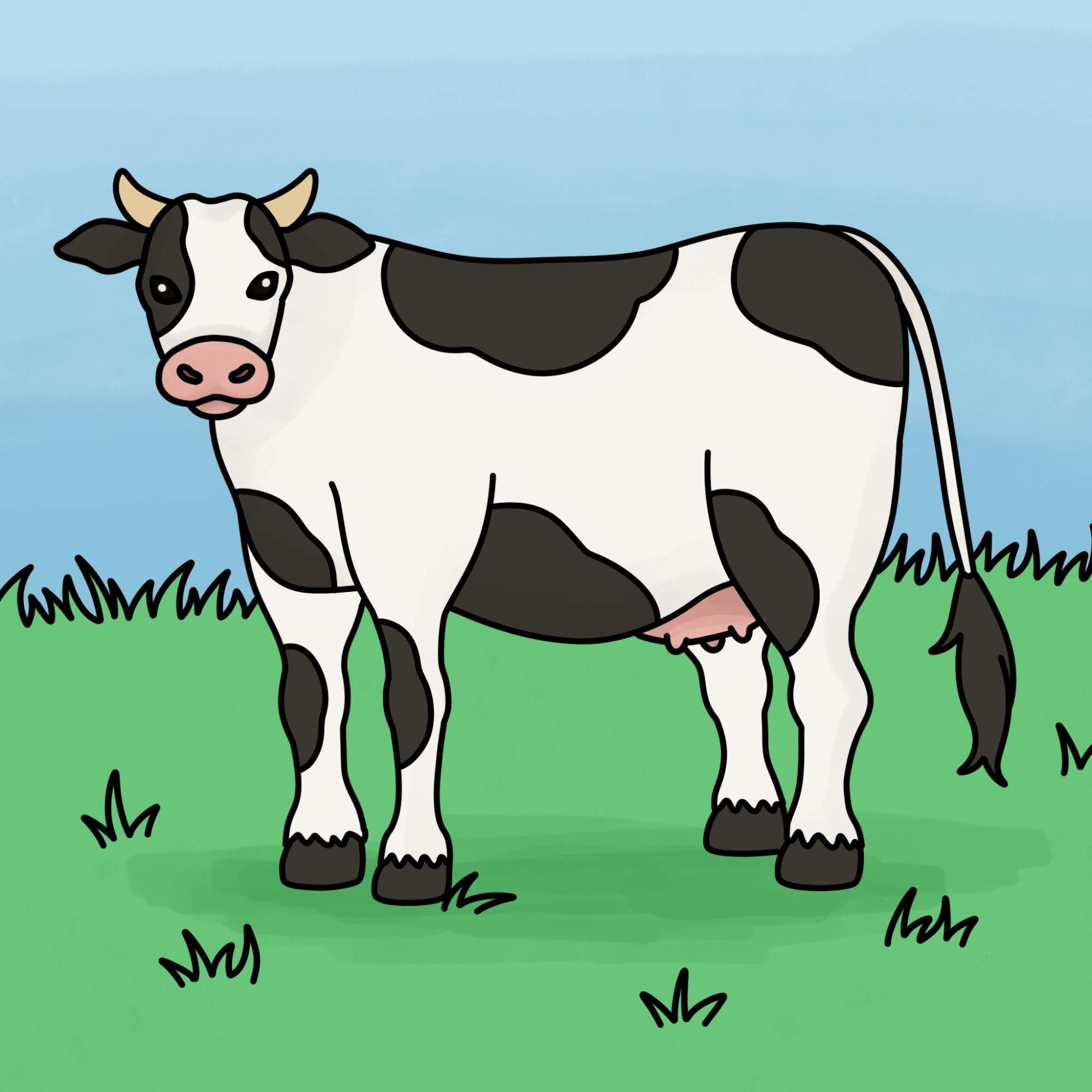 How to Draw a Cow - Step-15