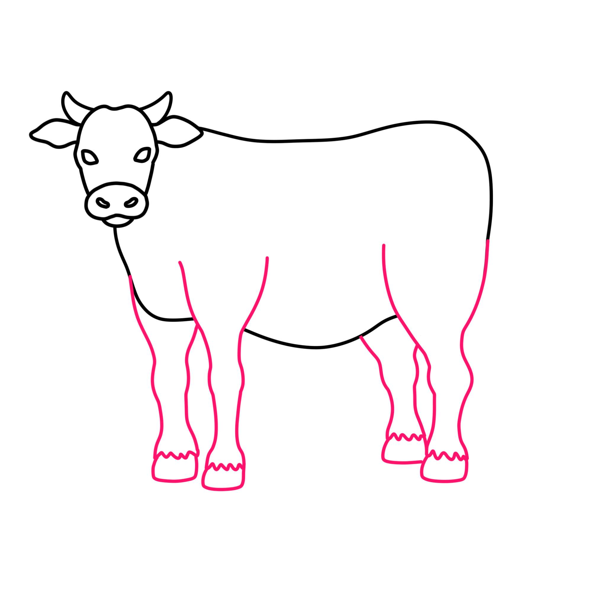 How to Draw a Cow - Step-7