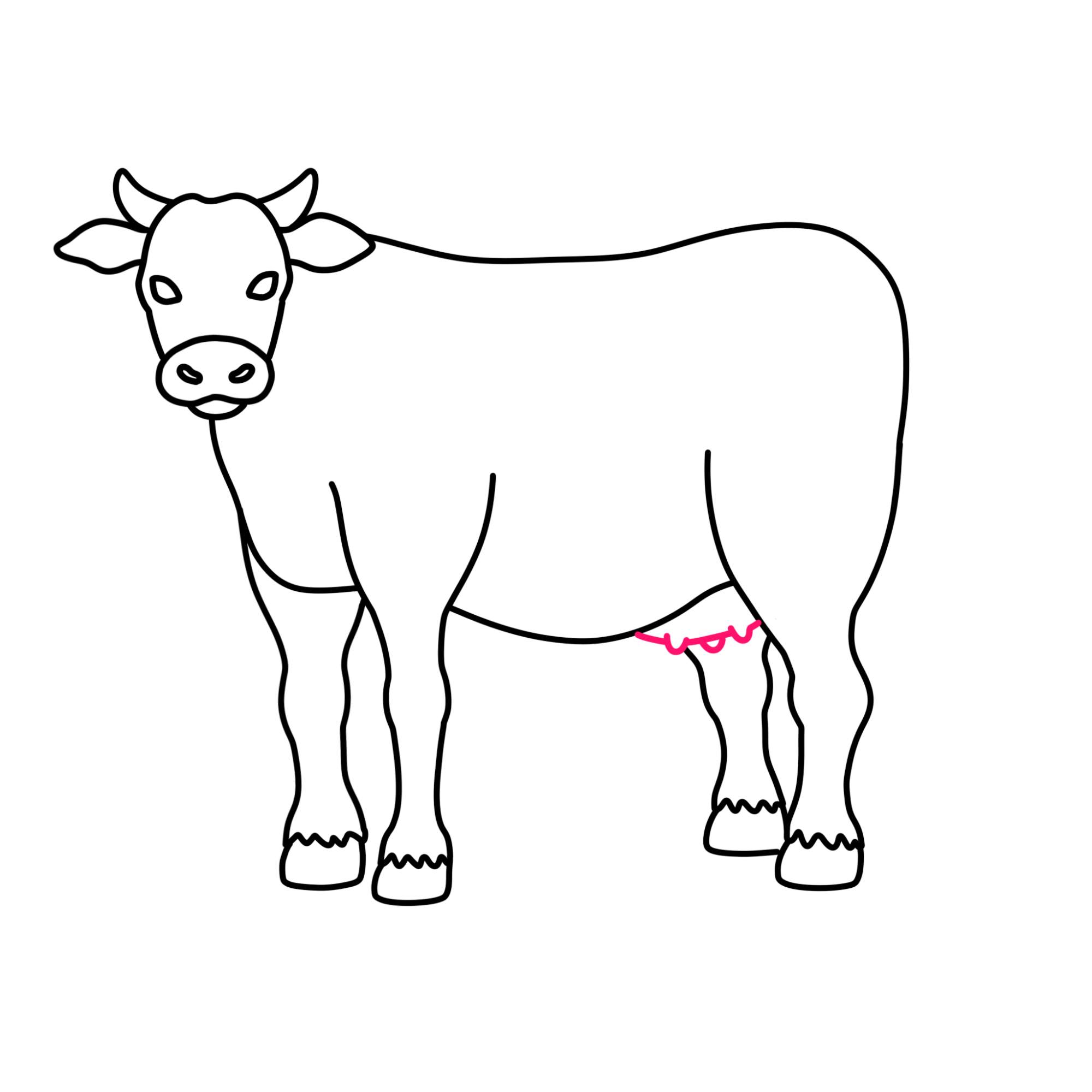 How to Draw a Cow - Step-8